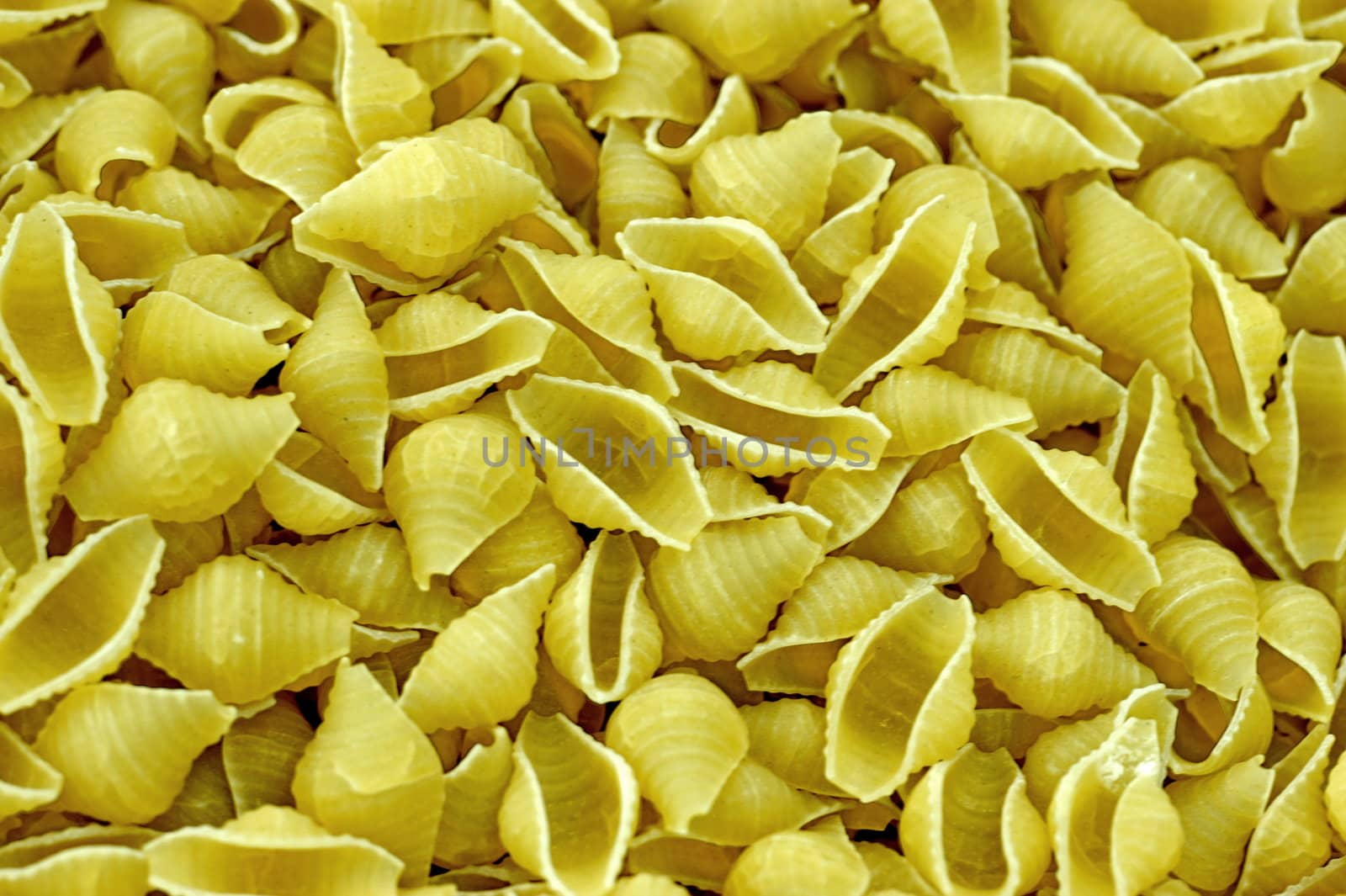 spaghetti seashells background close-up