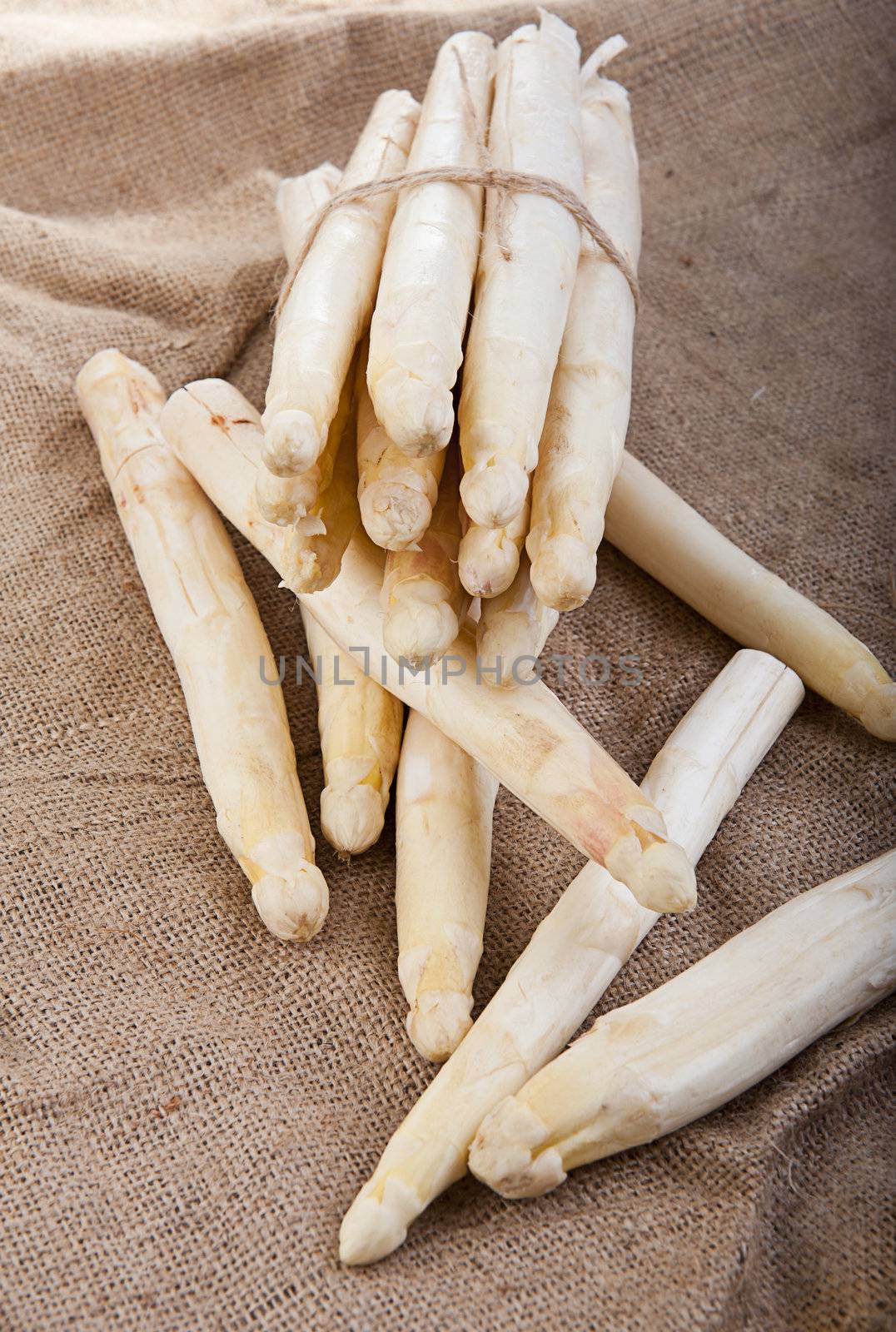 Bundle of fresh white asparagus sticks