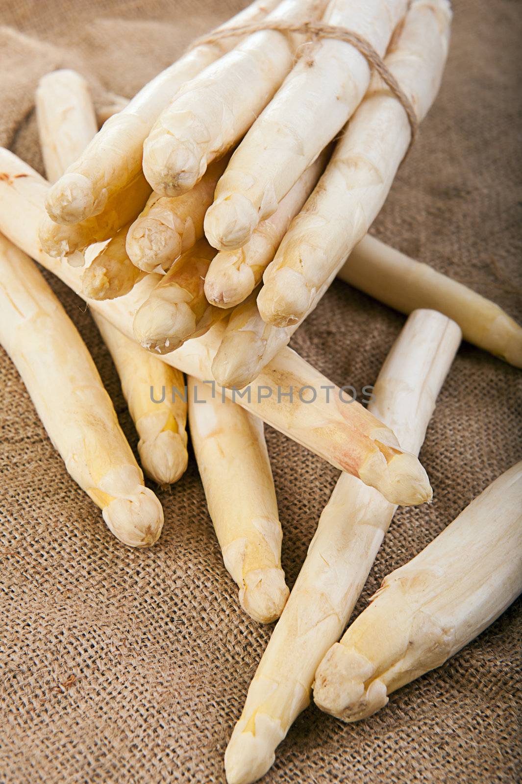 Bundle of fresh white asparagus sticks