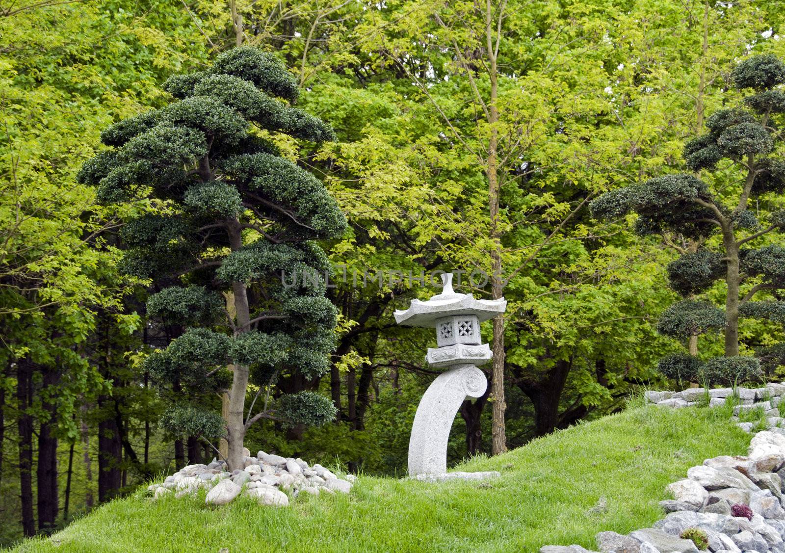 bonsai trees and concrete structure in japanese garden