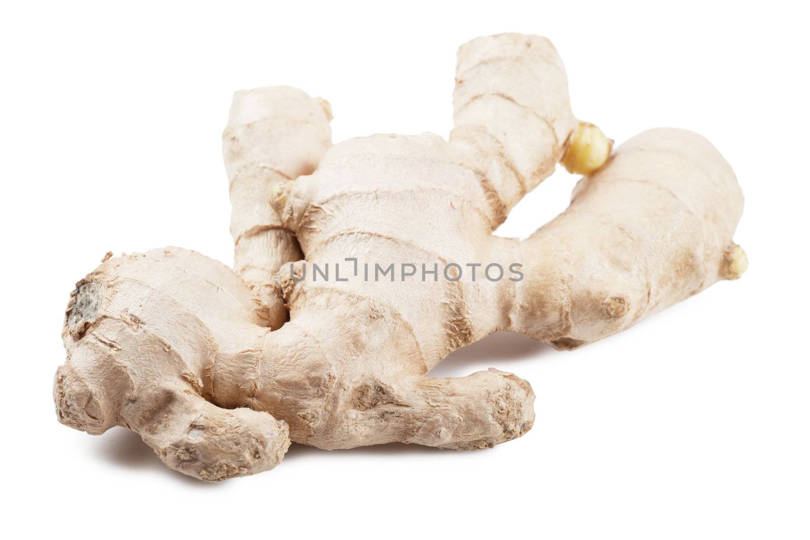 Closeup view of ginger root isolated over white background