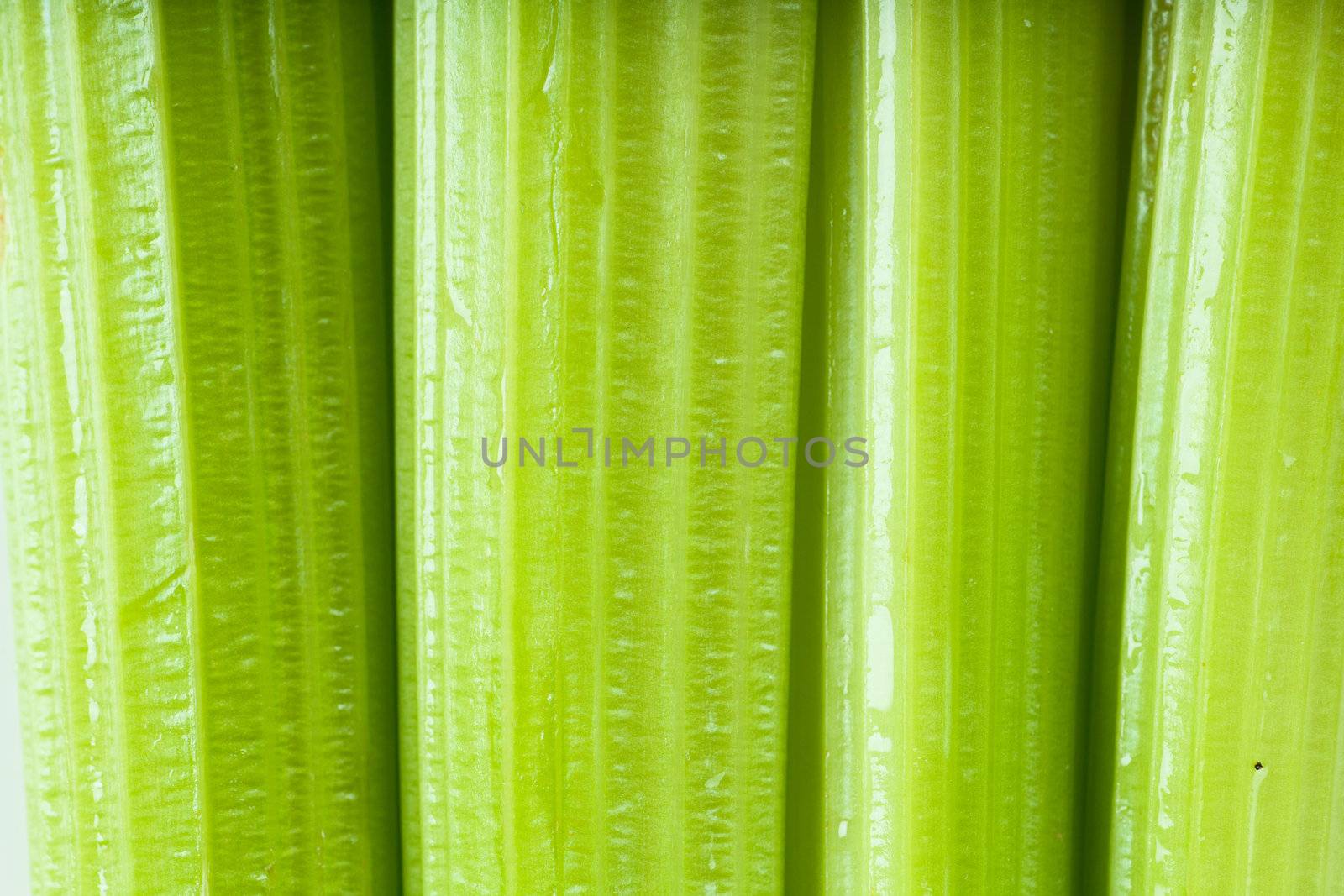 Macro view of fresh green stems of celery