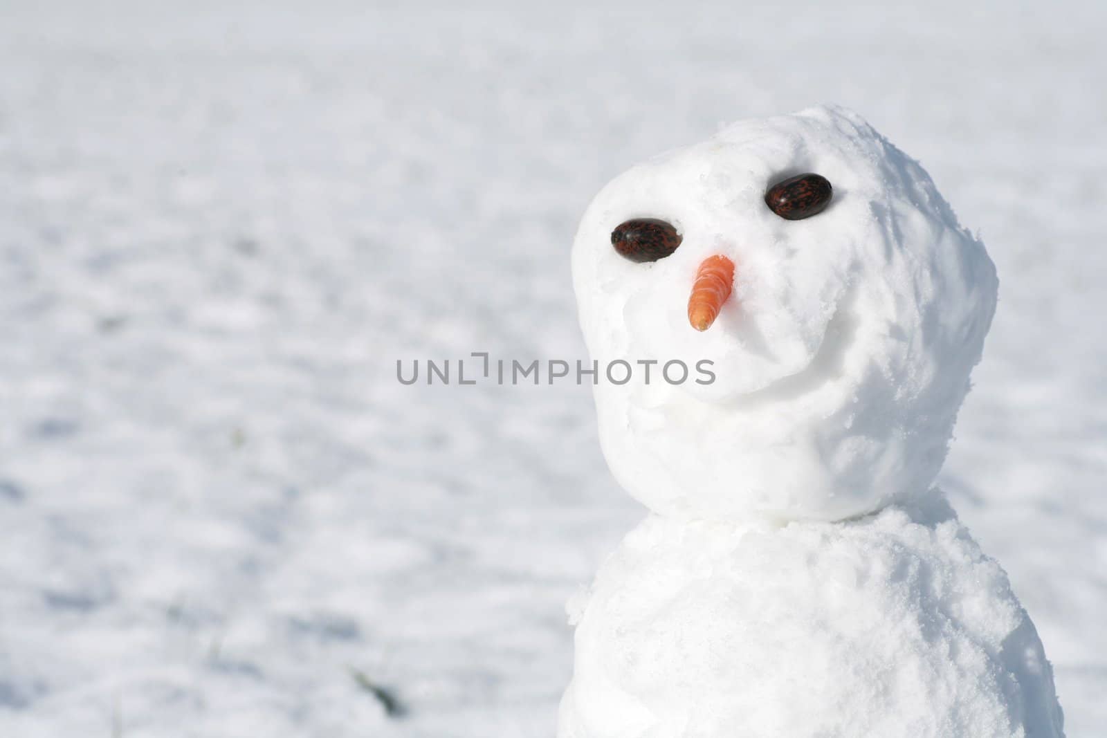 beautiful winter mood.snowman in winter.