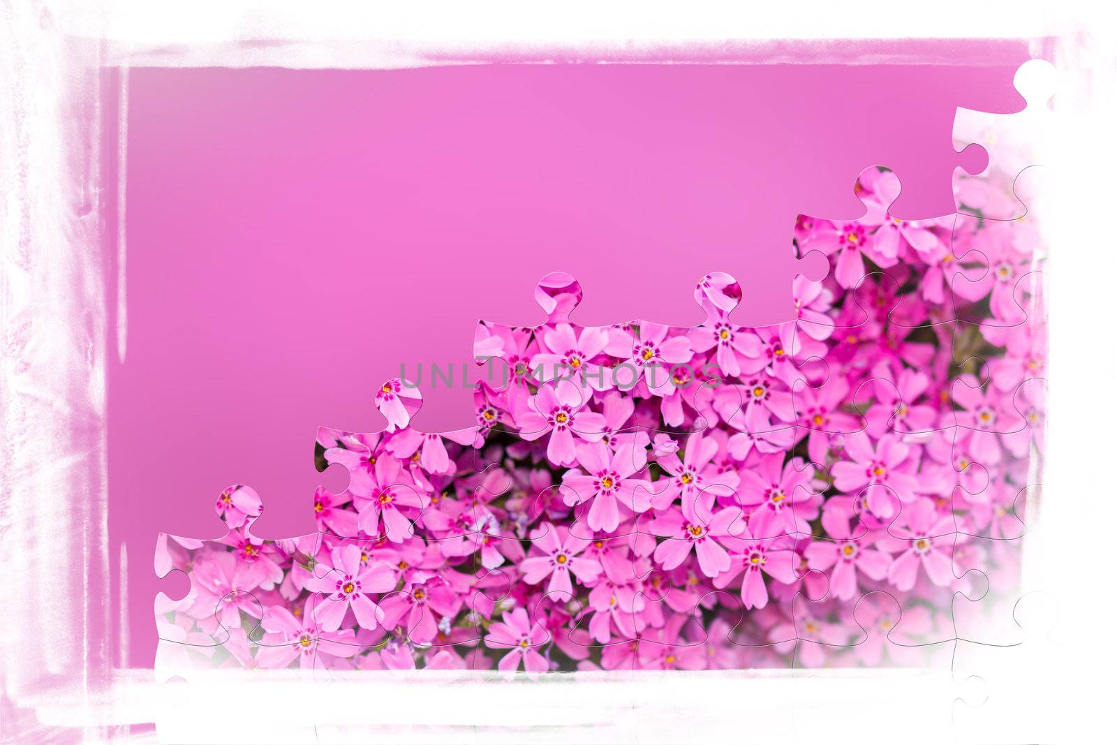 pink flower frame with puzzle of flowers for background