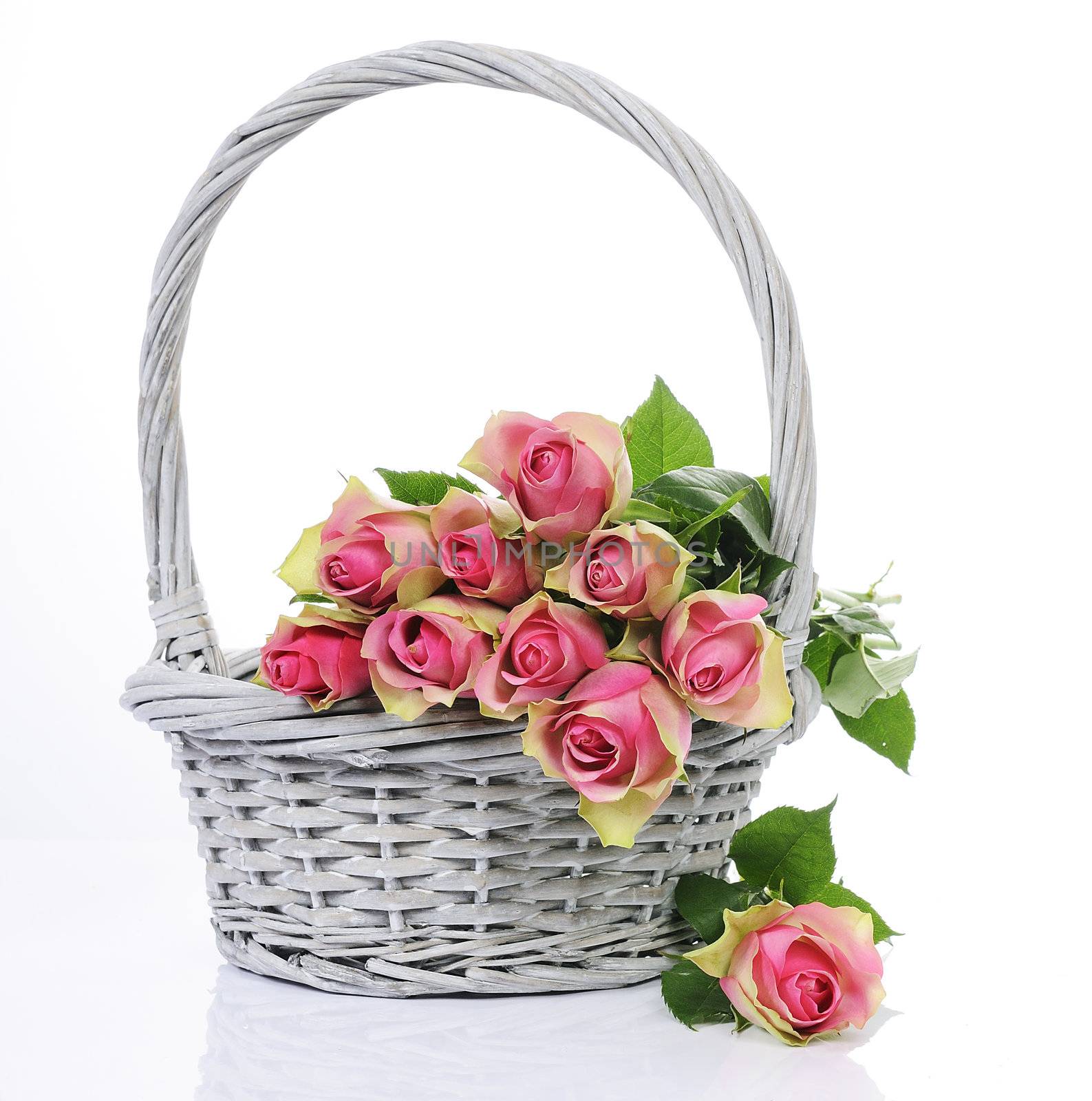 bouquet of pink roses in basket isolated on white background 