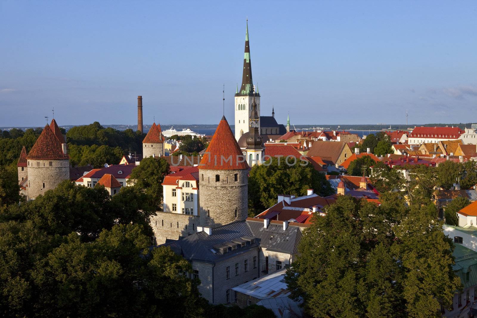 St. Olav's Church and Tower, Tallinn by chrisdorney