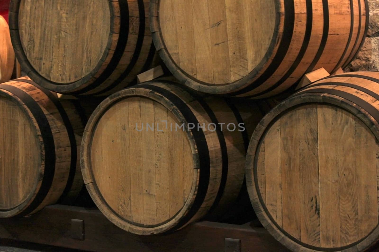 wine barrels in vineyard