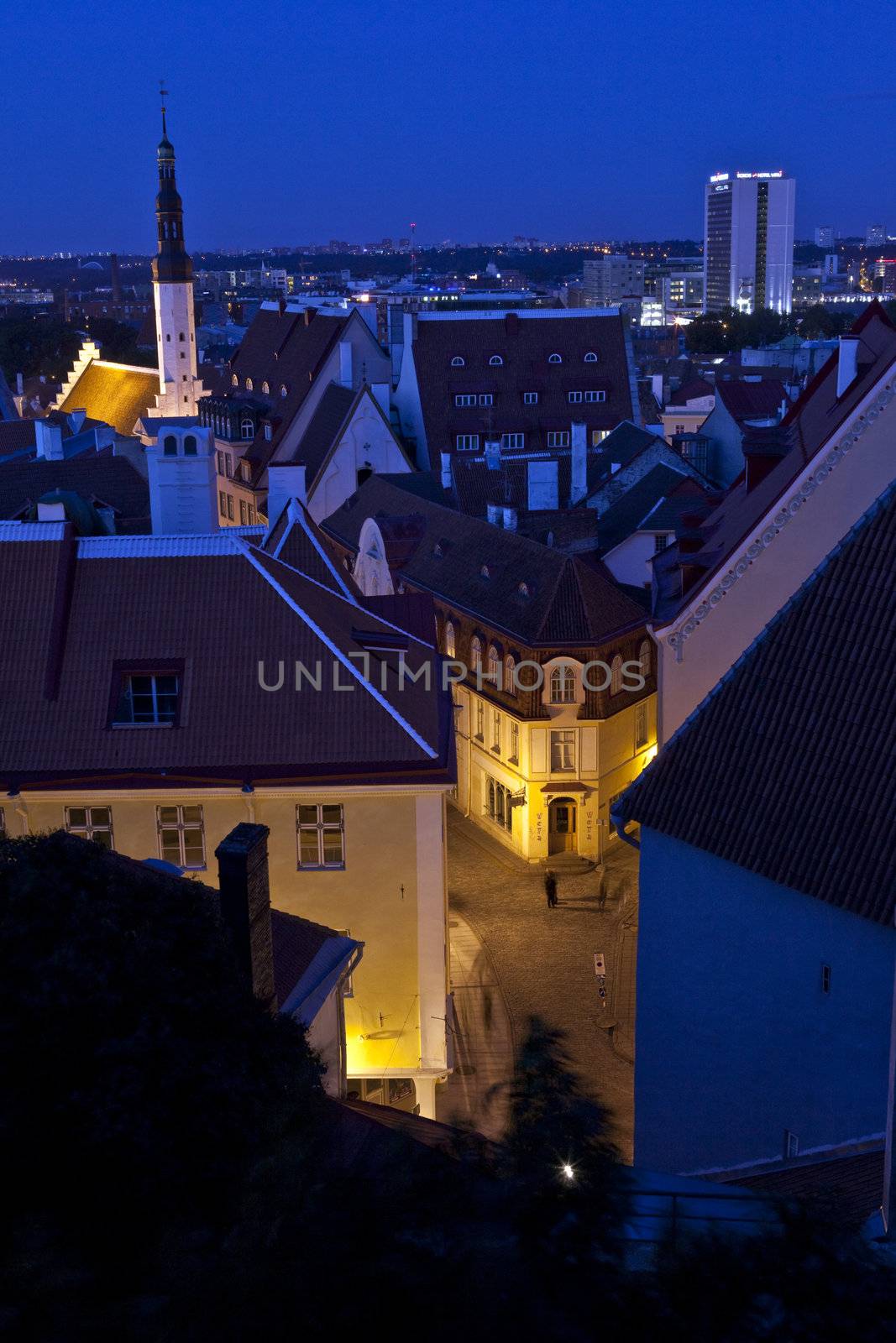 View from Toompea Hill, Tallinn.