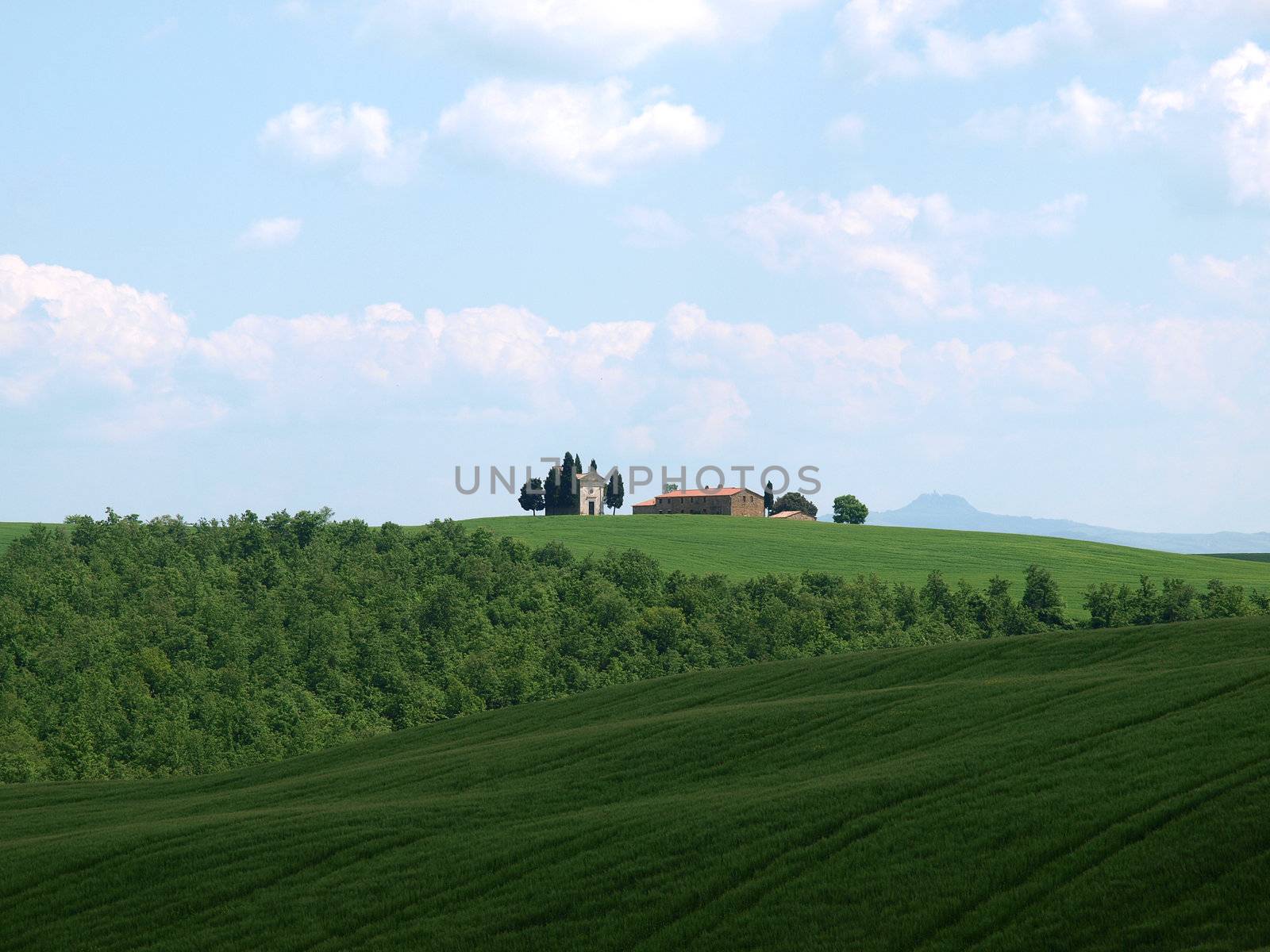 The landscape of the Val d’Orcia. Tuscany. Italiy