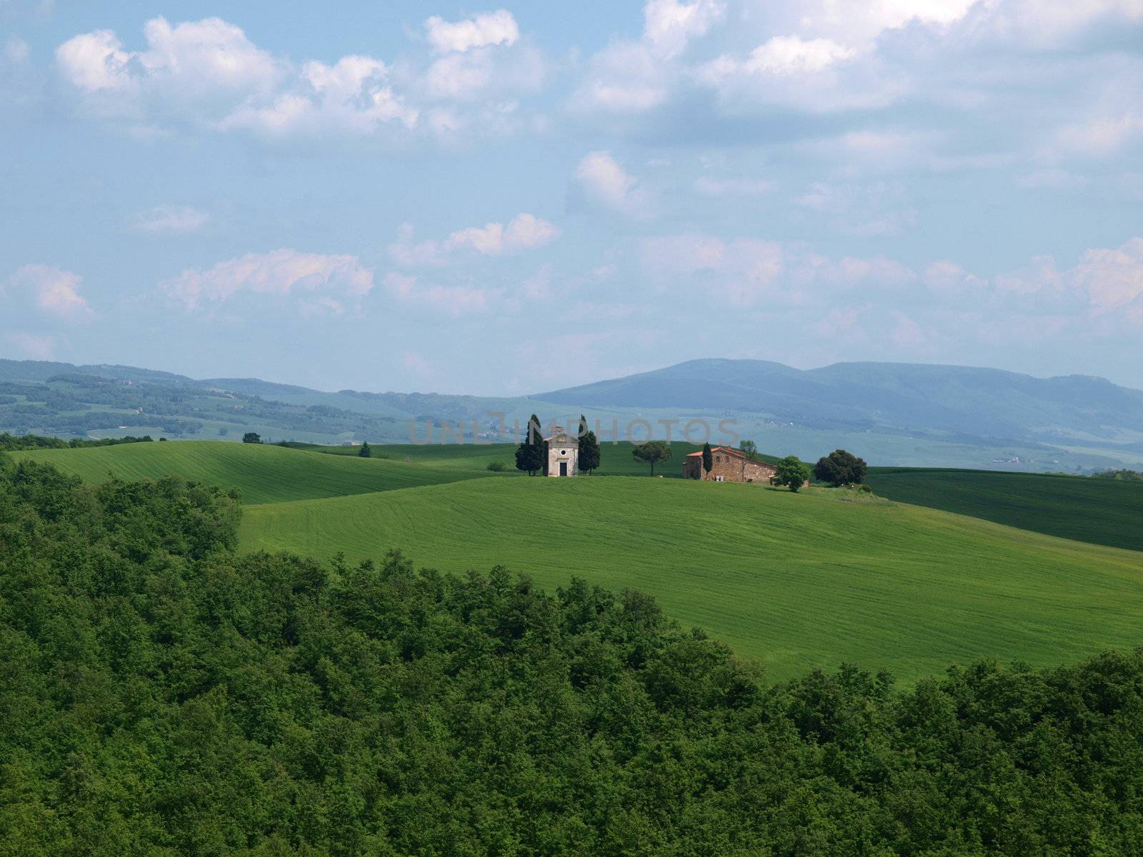 The landscape of the Val d’Orcia. Tuscany. 