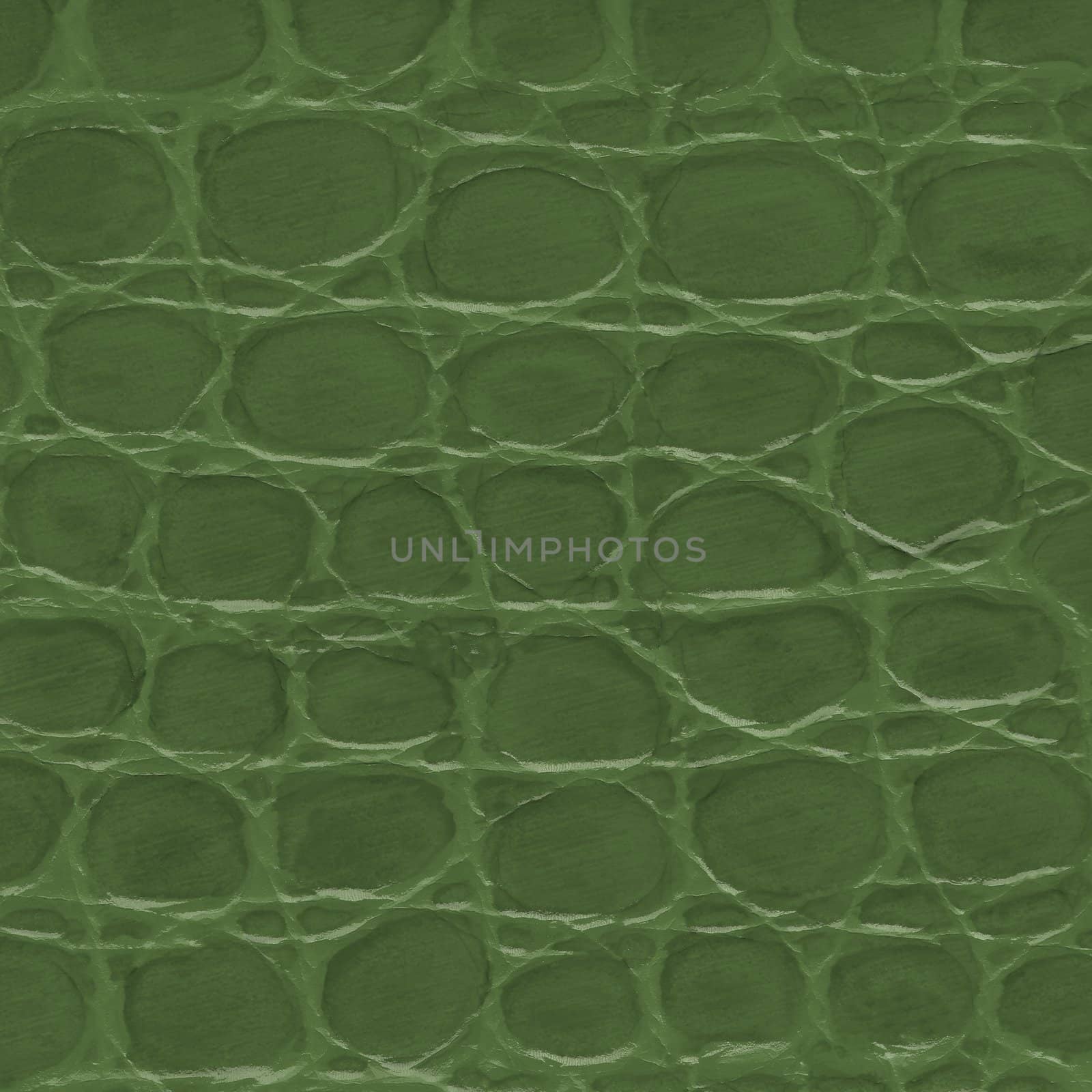 Green crocodile leather texture