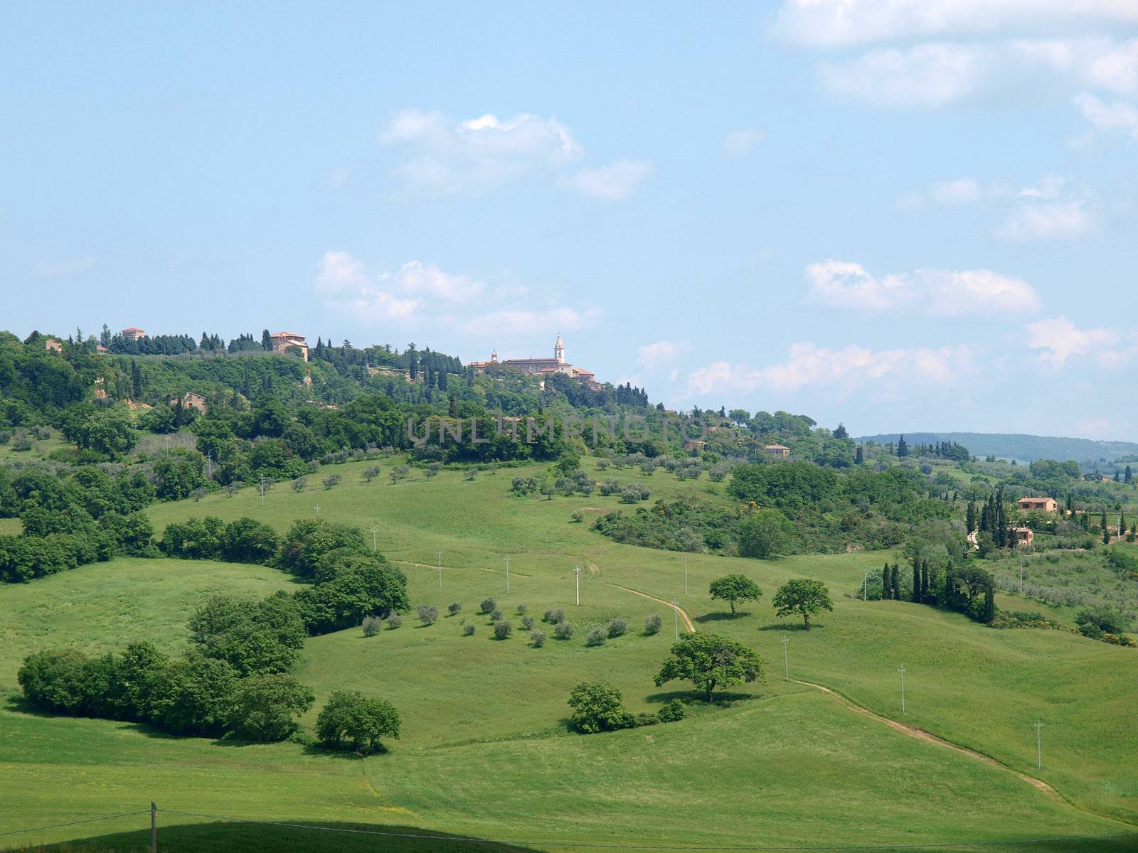 The landscape of the Val d’Orcia. Tuscany. 