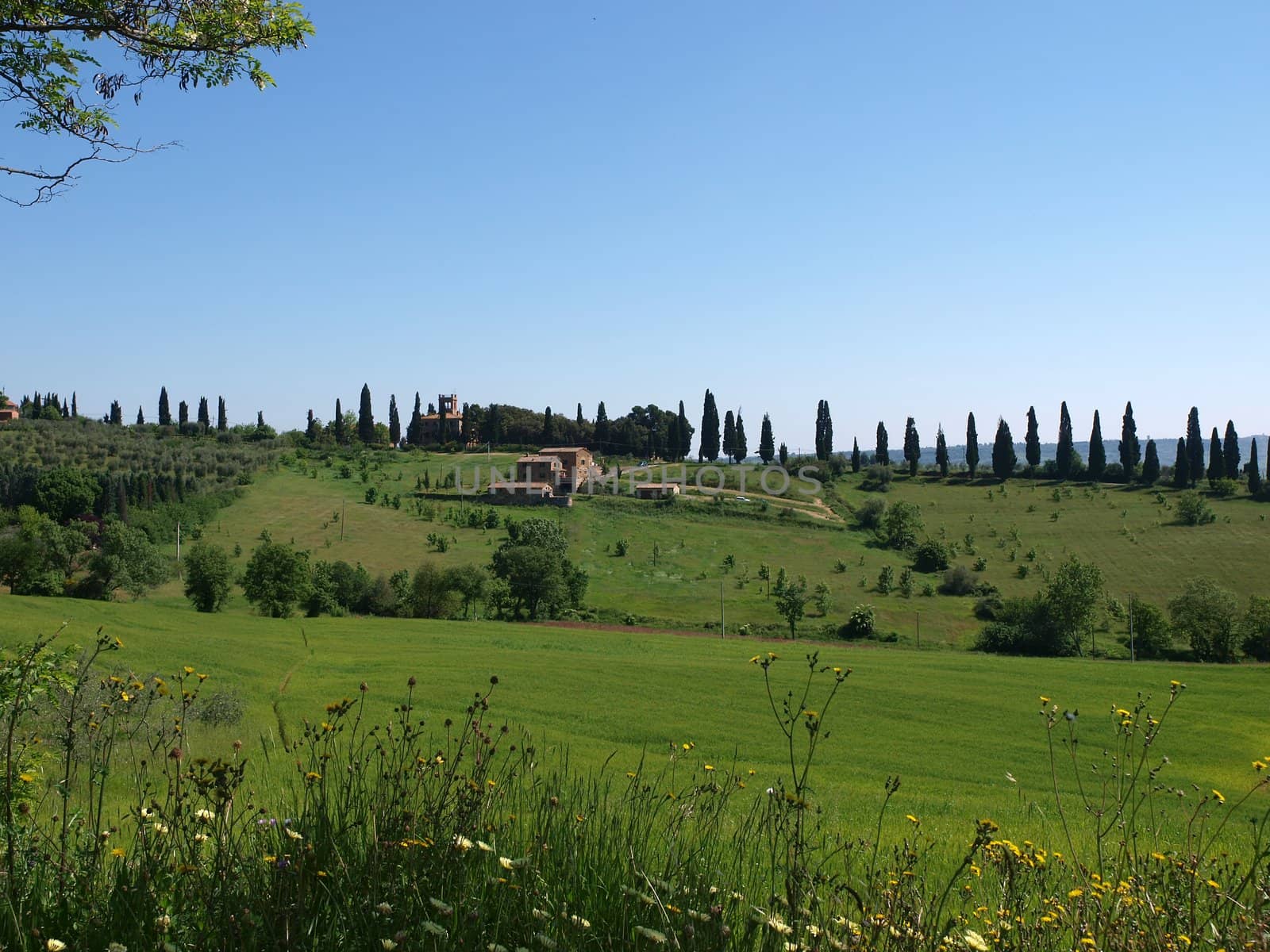The landscape of the Tuscany. Italiy