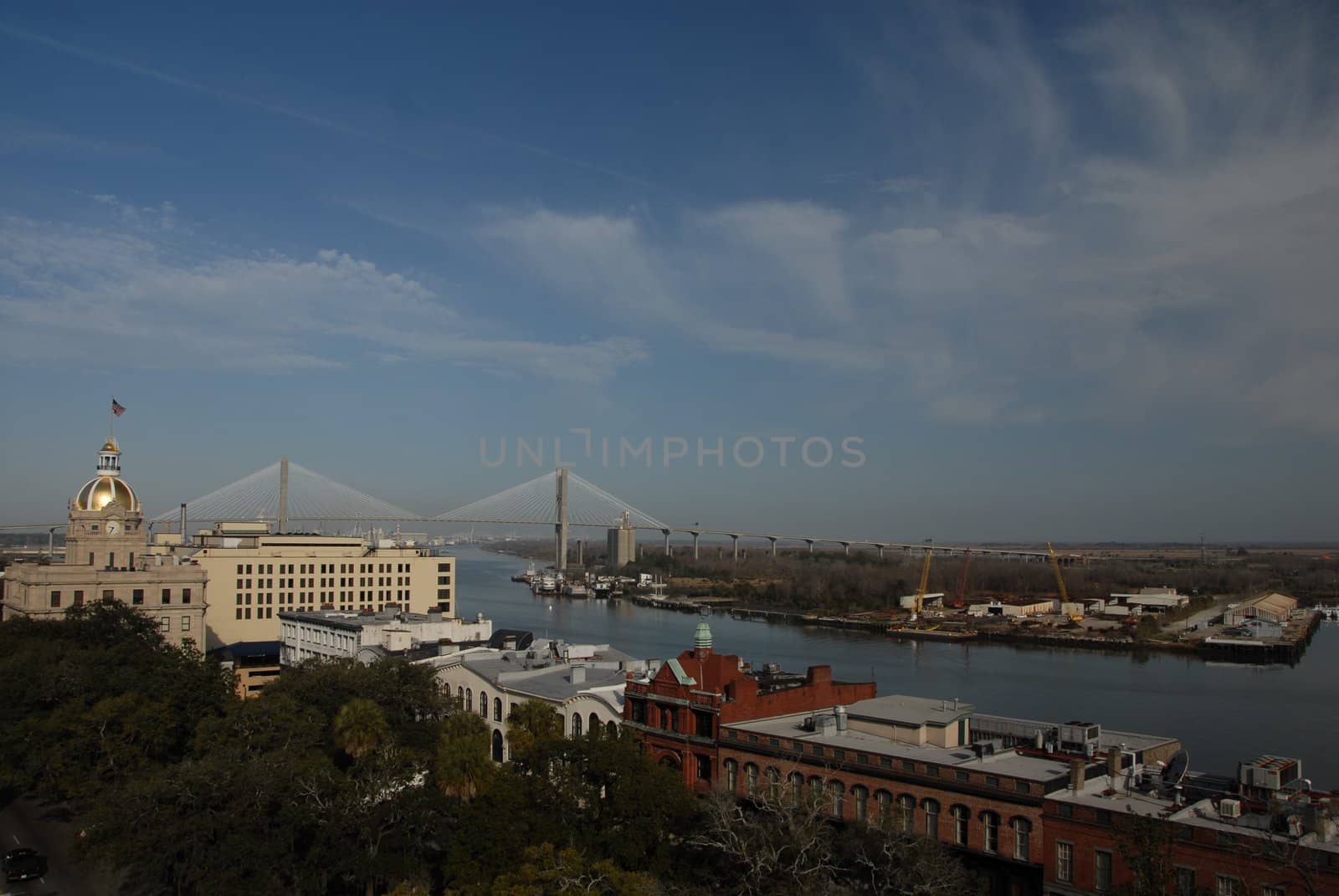Savannah view by northwoodsphoto