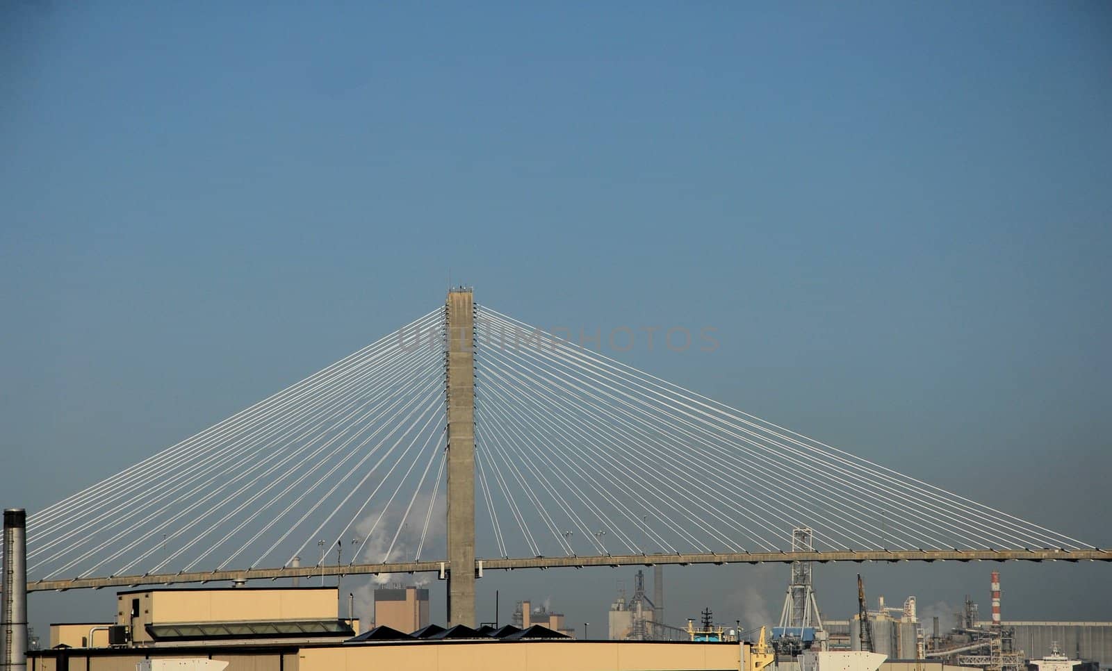 A view along the river in Savannah Georgia with the Talmadge Bridge in the background