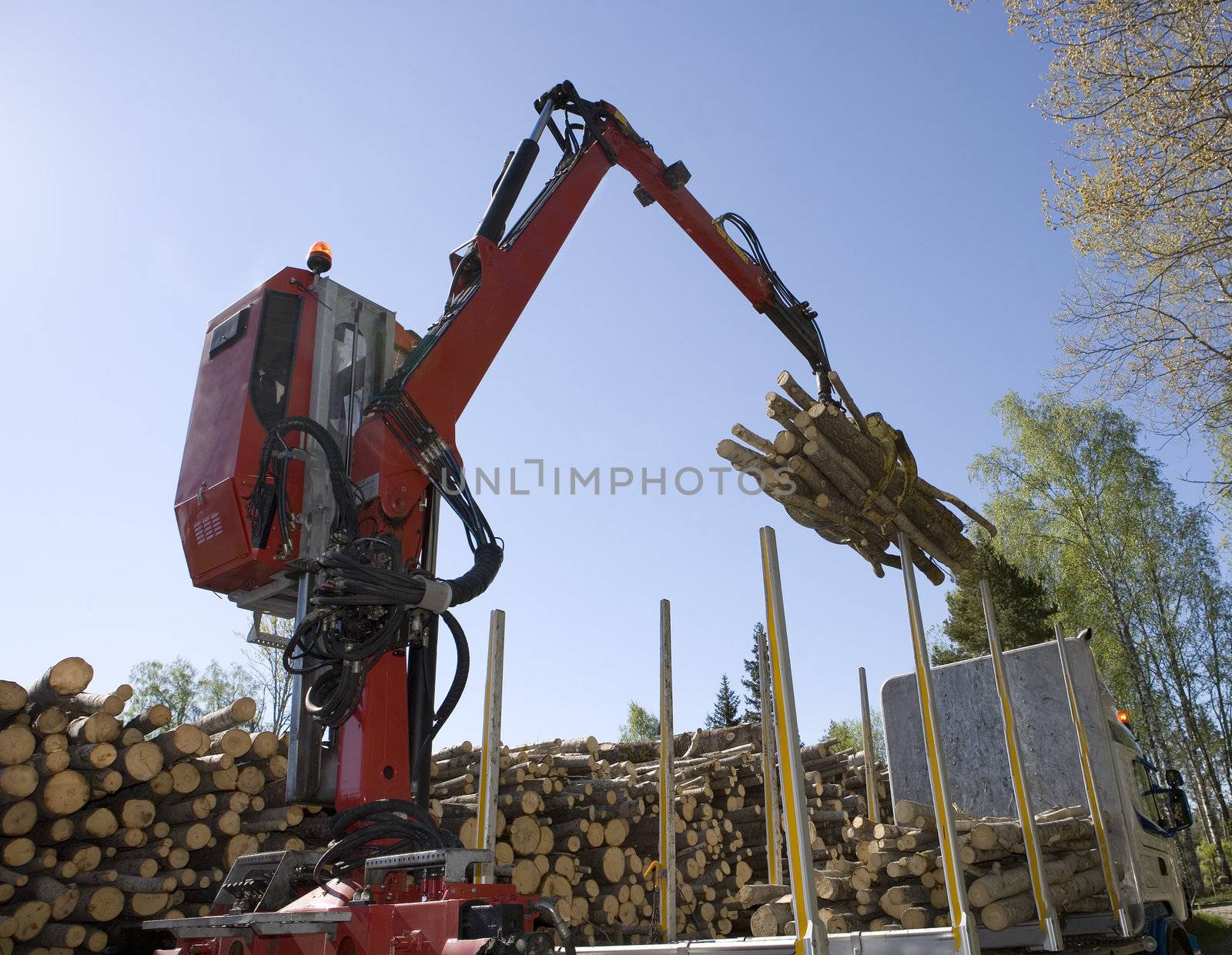 Loading Timber by gemenacom