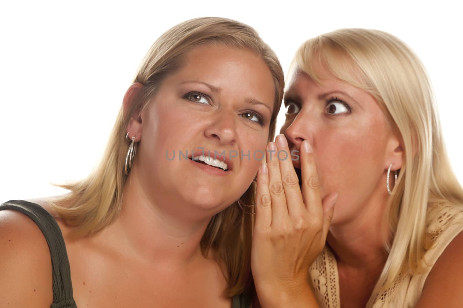 Two Blonde Woman Whispering Secrets Isolated on a White Background.