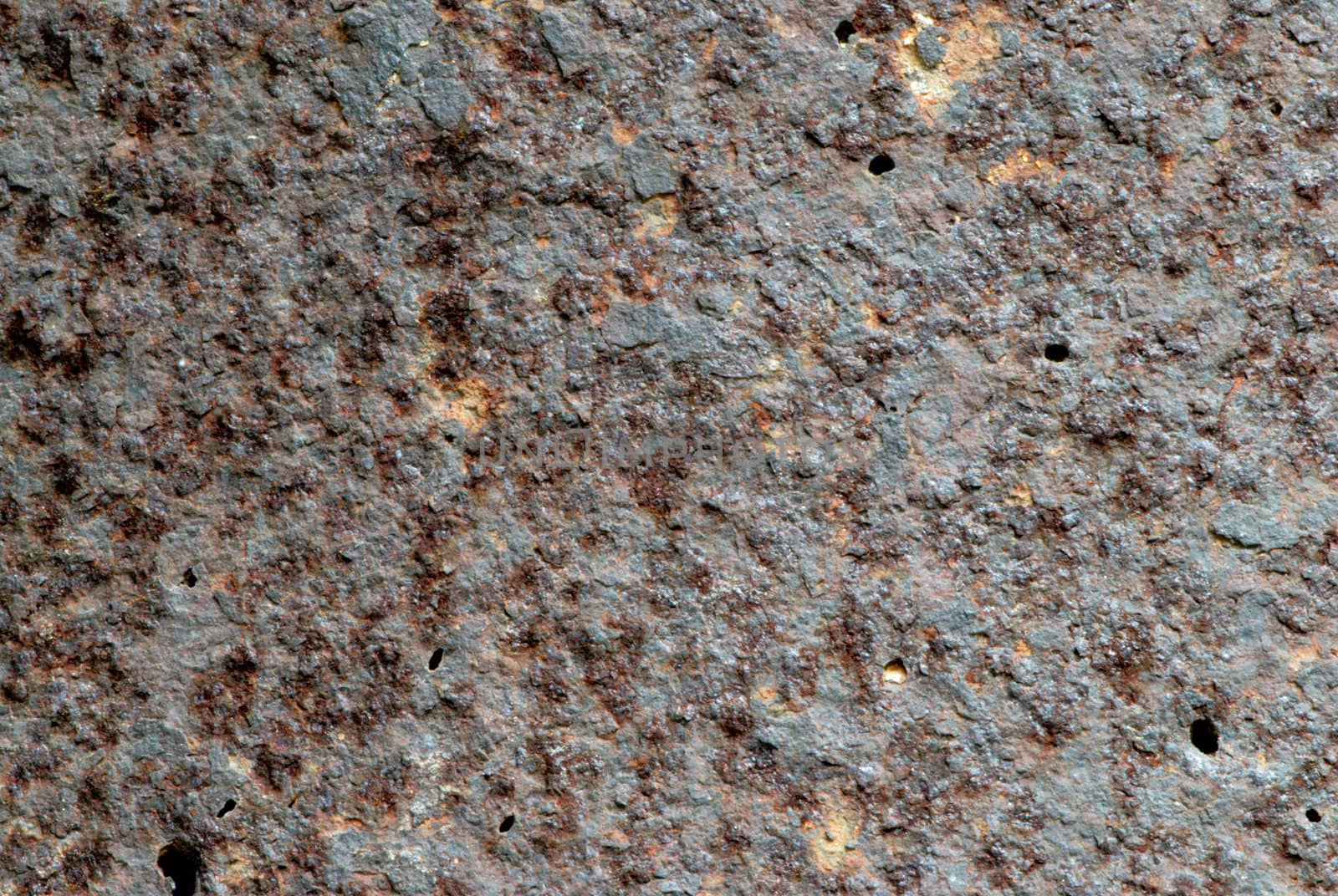 Close up of patterns and texture on bark