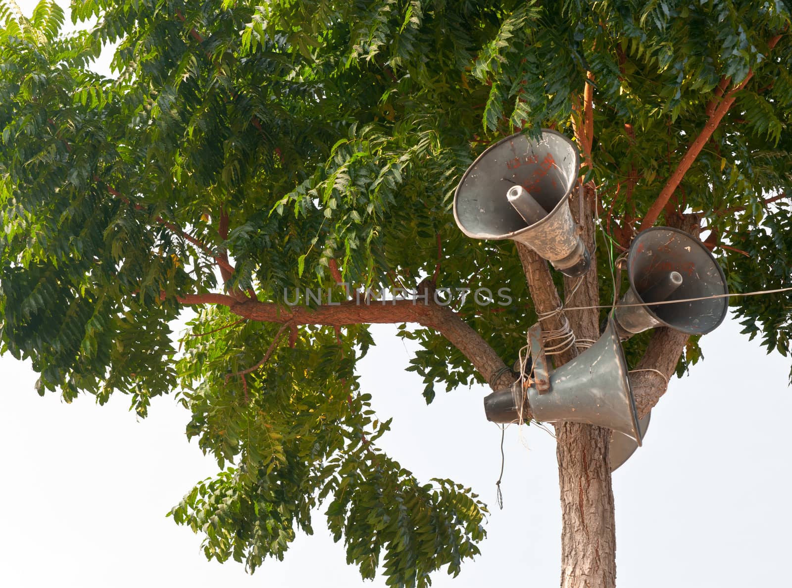 Loudspeaker creative on tree