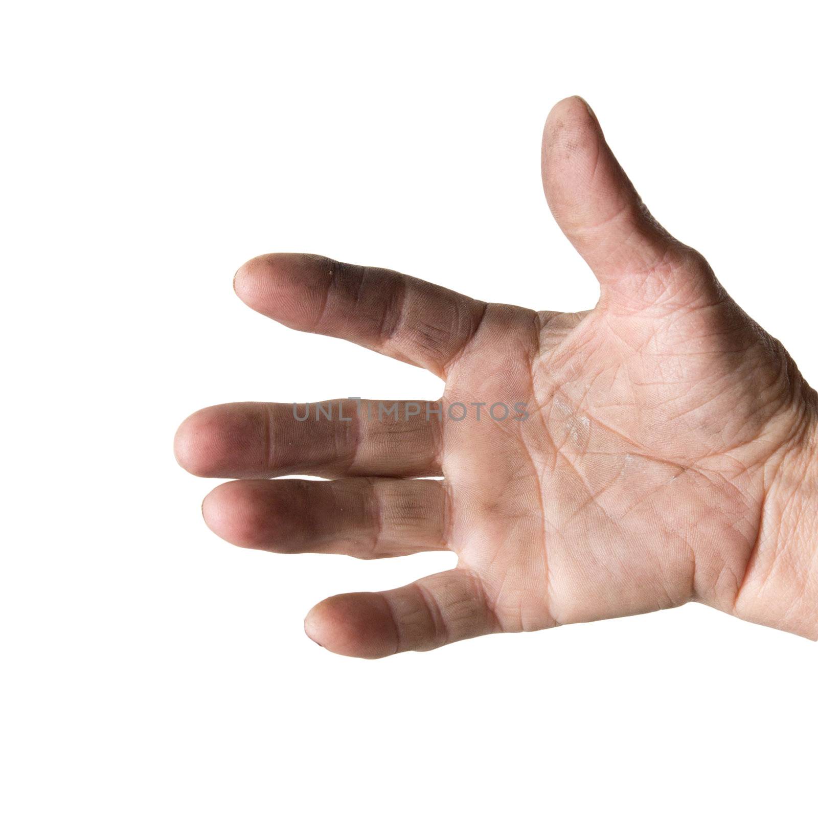 grandmother's hand on a white background