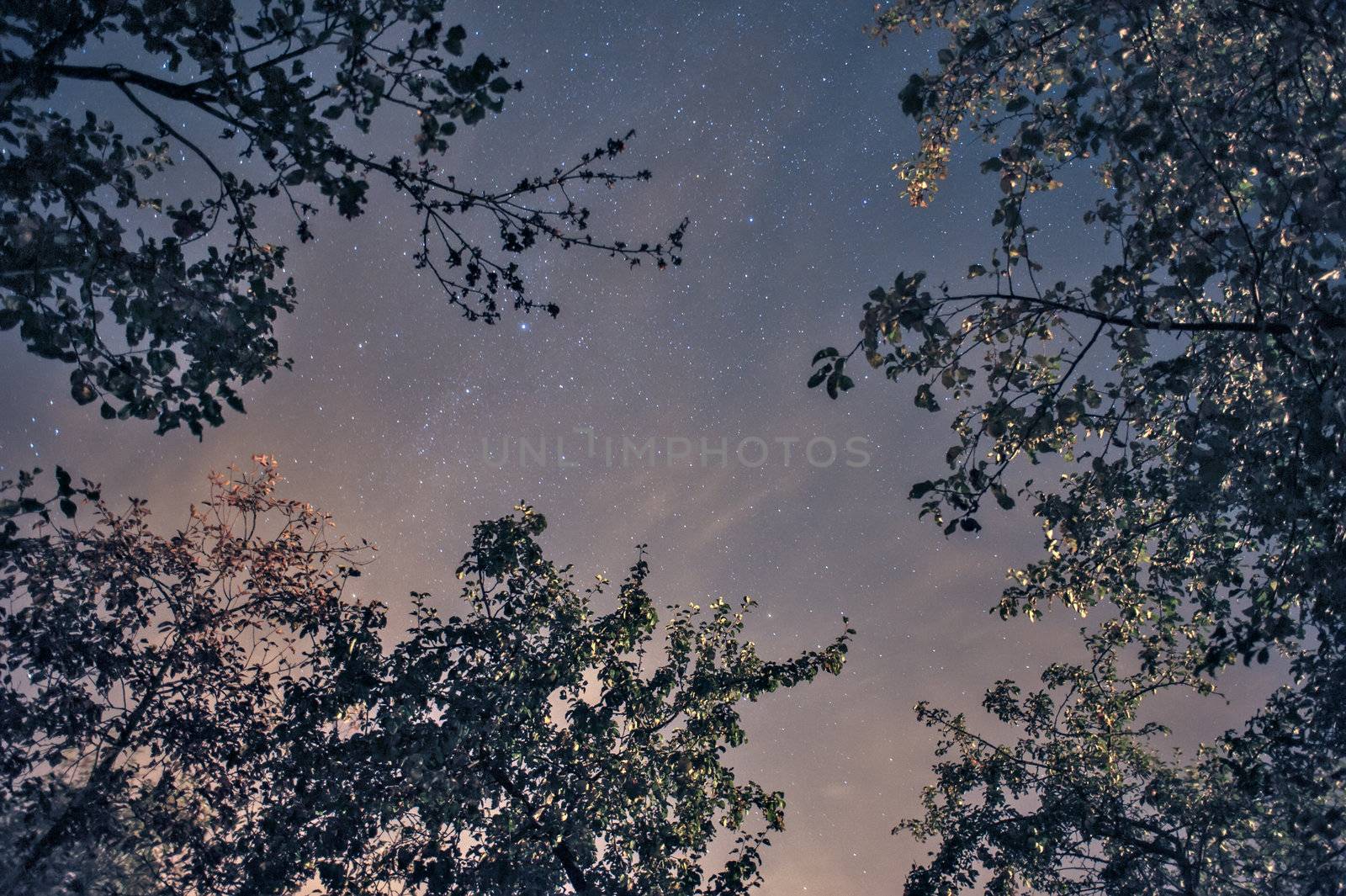 Night star sky by mahout