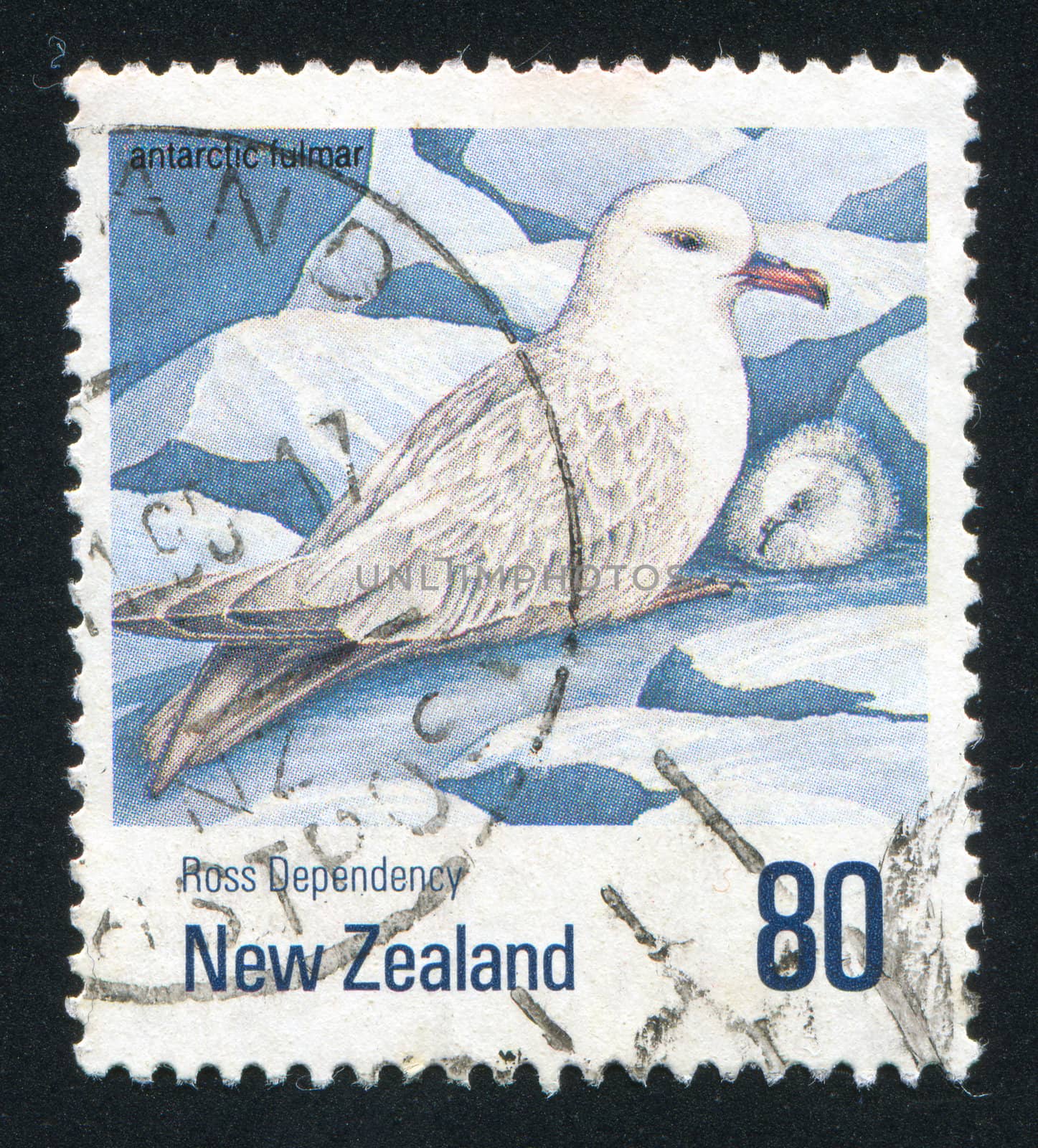 NEW ZEALAND — CIRCA 1990: stamp printed by New Zealand, shows  fulmar bird in the snow, circa 1990