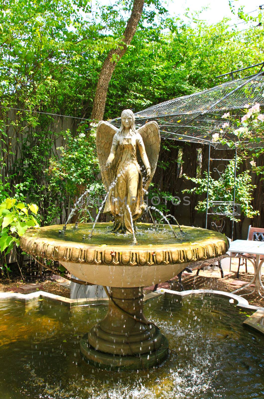 Angel sculpture fountain in the garden by nuchylee