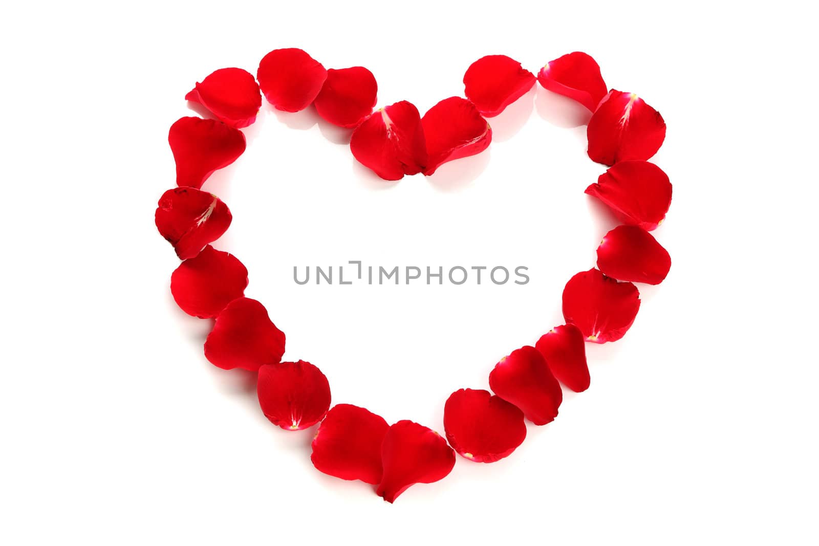 Beautiful heart of red rose petals on white background