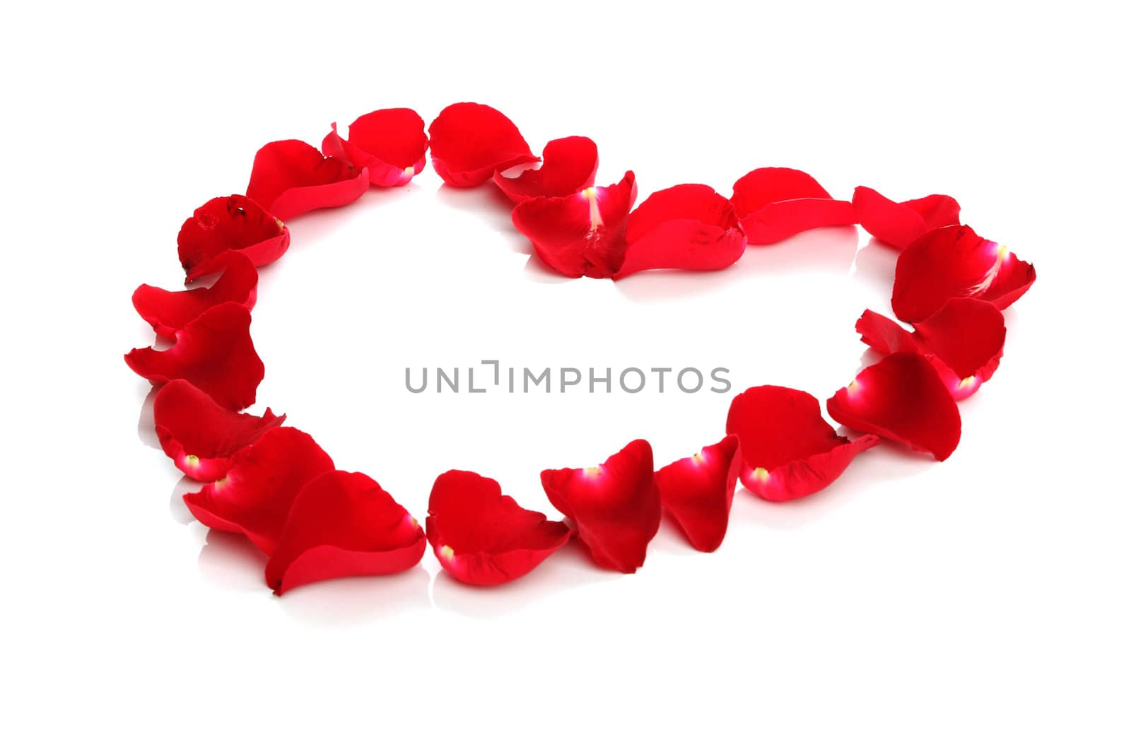 Beautiful heart of red rose petals on white background