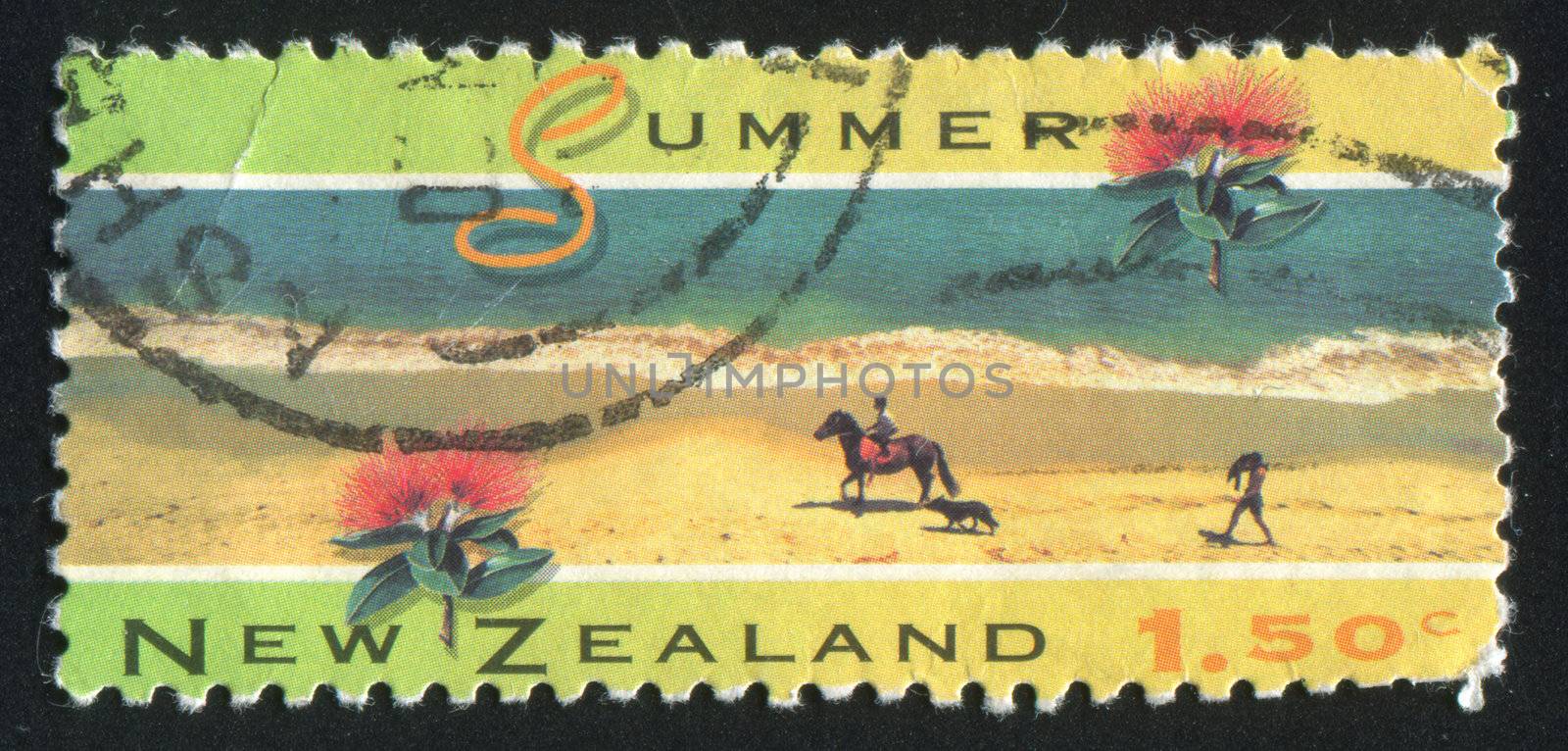 NEW ZEALAND - CIRCA 1994: stamp printed by New Zealand, shows Scenic Views of the Four Seasons, Summer, Opononi, pohutukawa flower, circa 1994