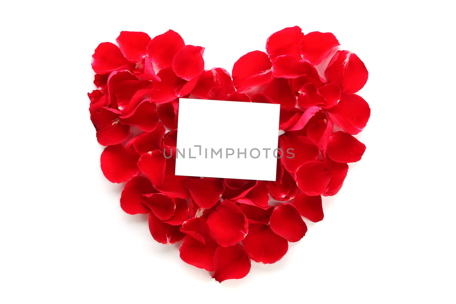 Beautiful heart of red rose petals with blank paper on the white background