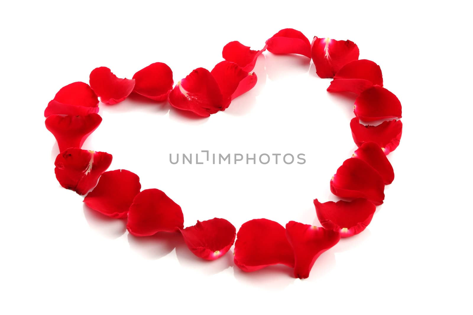 Beautiful heart of red rose petals on white background