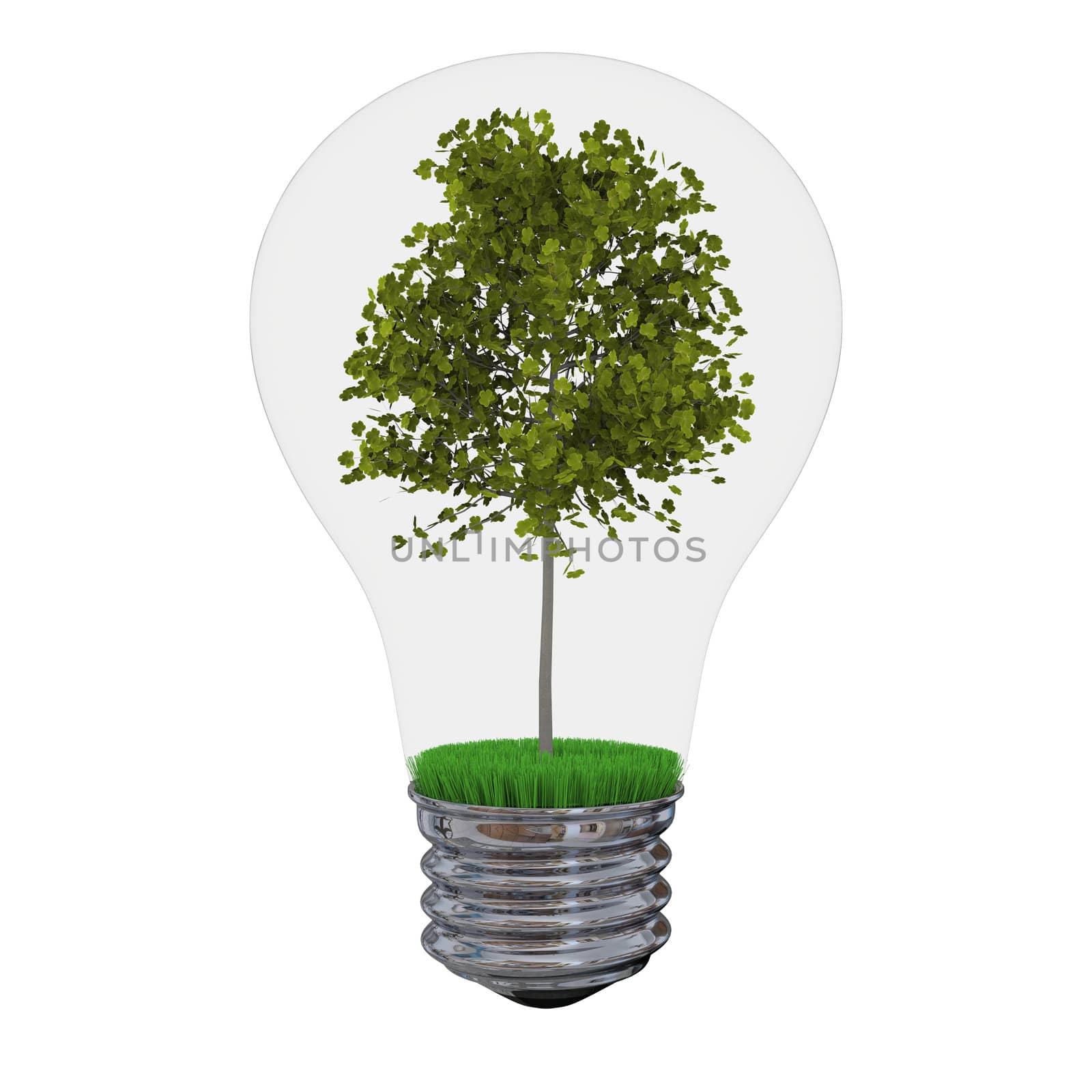 Environmental concept with tree inside lightbulb isolated on white background.