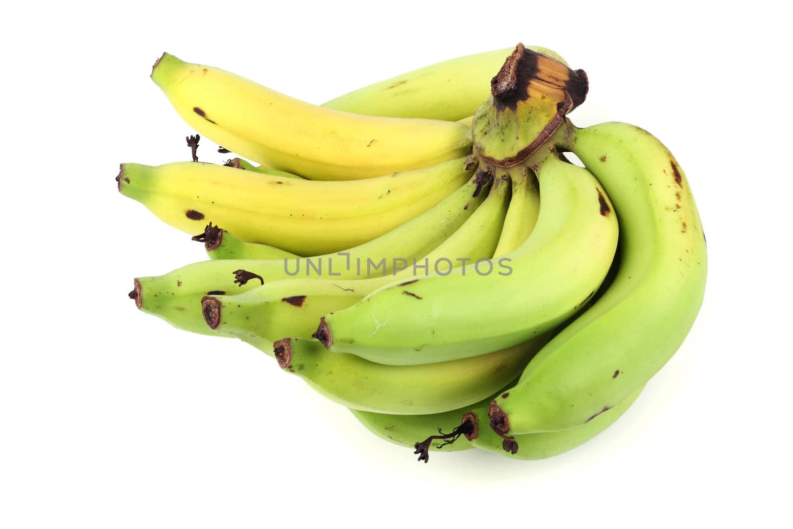 Banana bunch on the white background by posterize