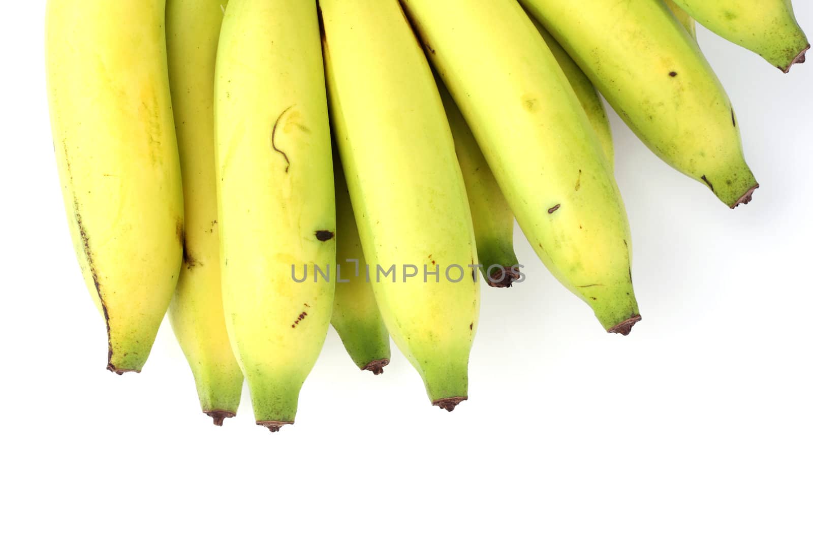 Banana bunch on the white background by posterize