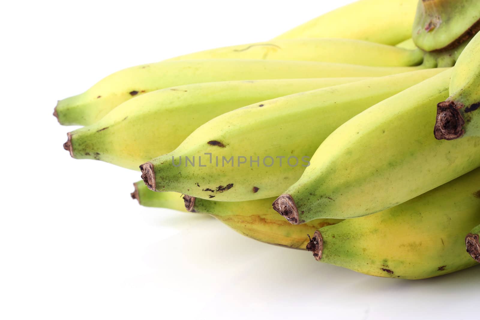 Banana bunch on the white background