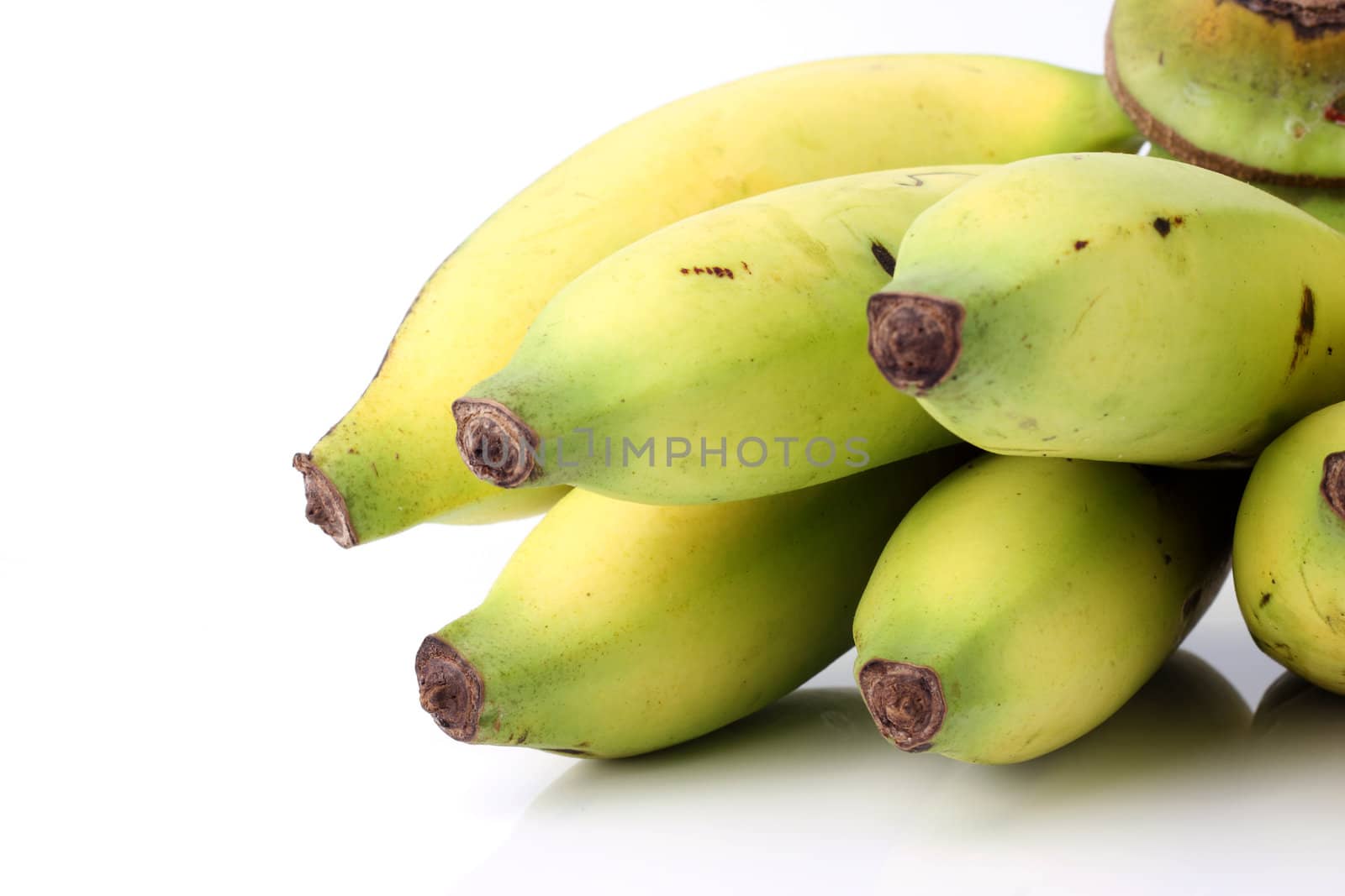 Banana bunch on the white background