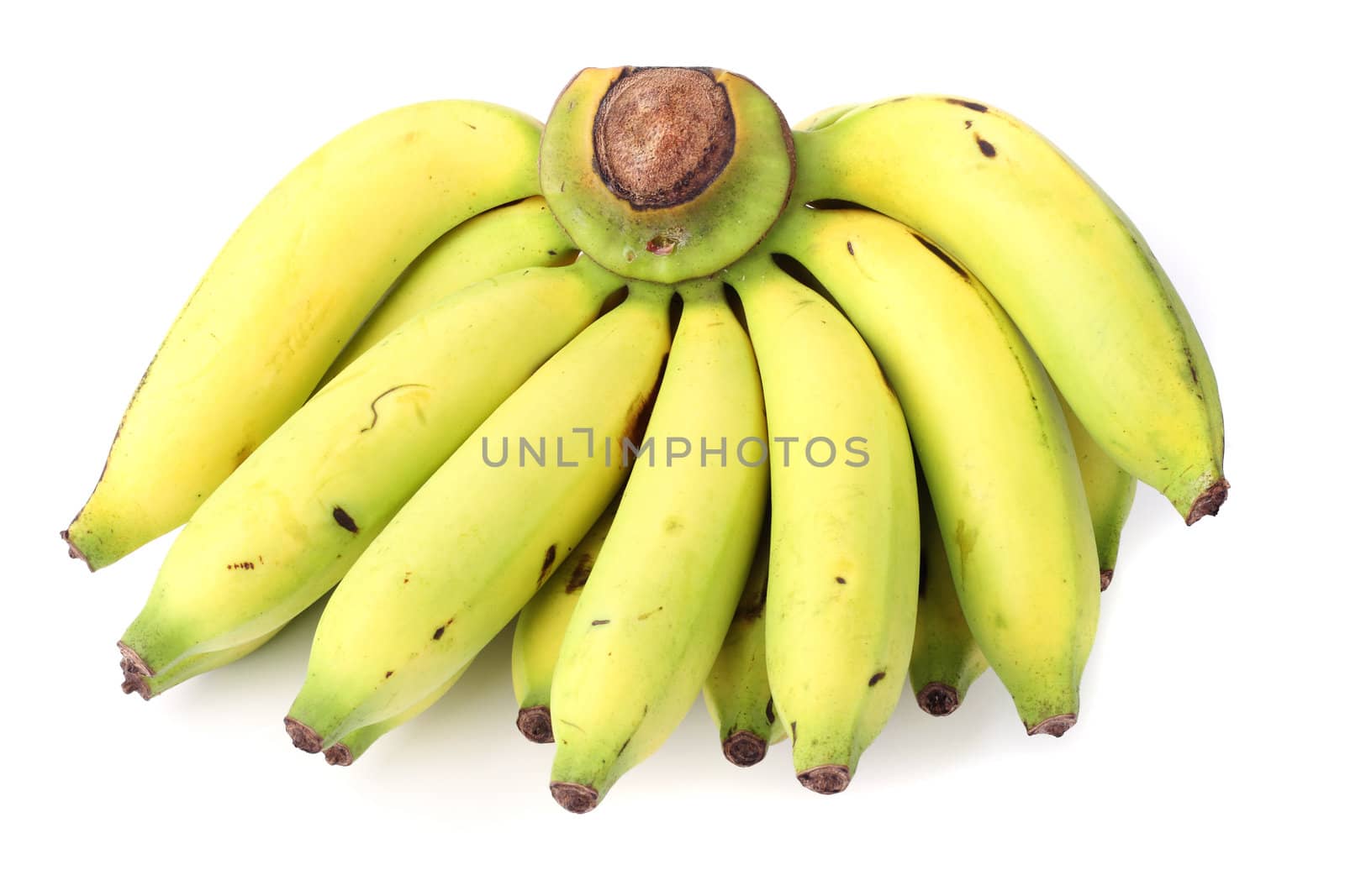 Banana bunch on the white background by posterize