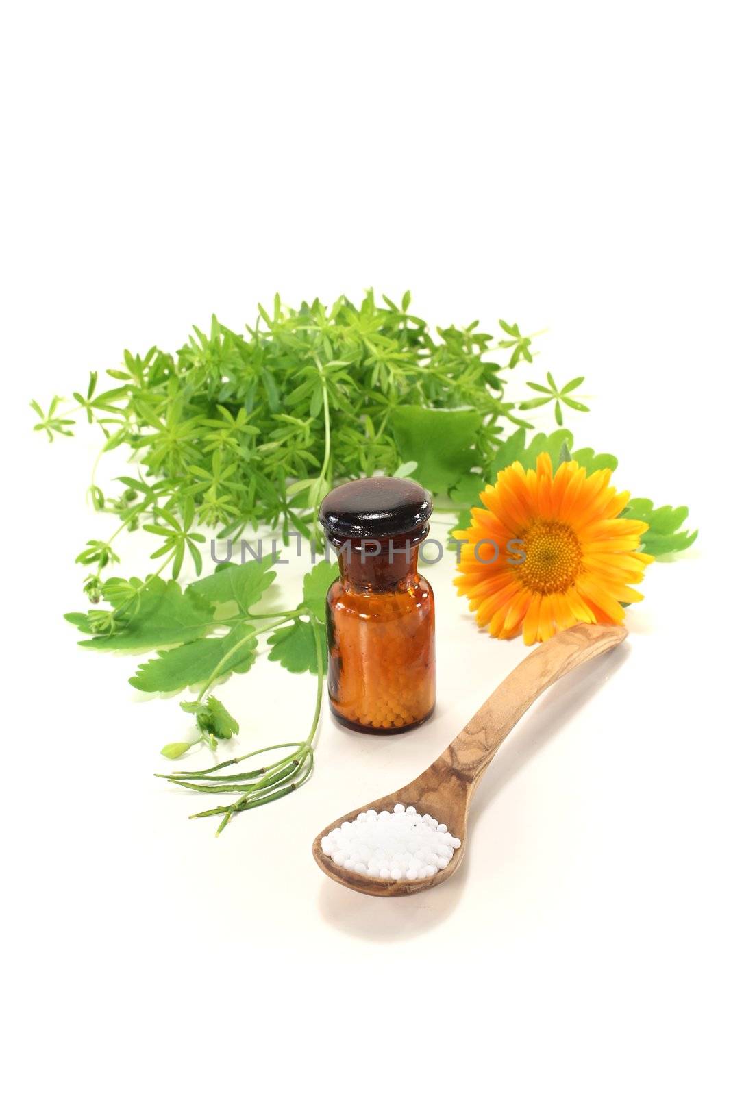 Homeopathy with globules, an apothecary jar and natural herbs