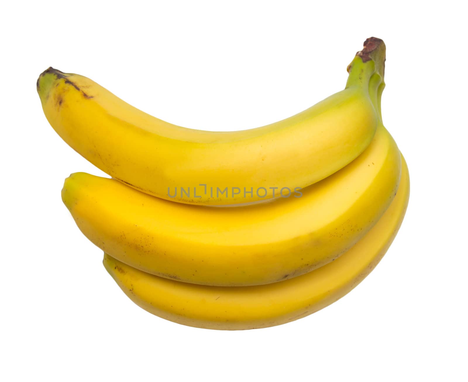 bananas on a white background by schankz