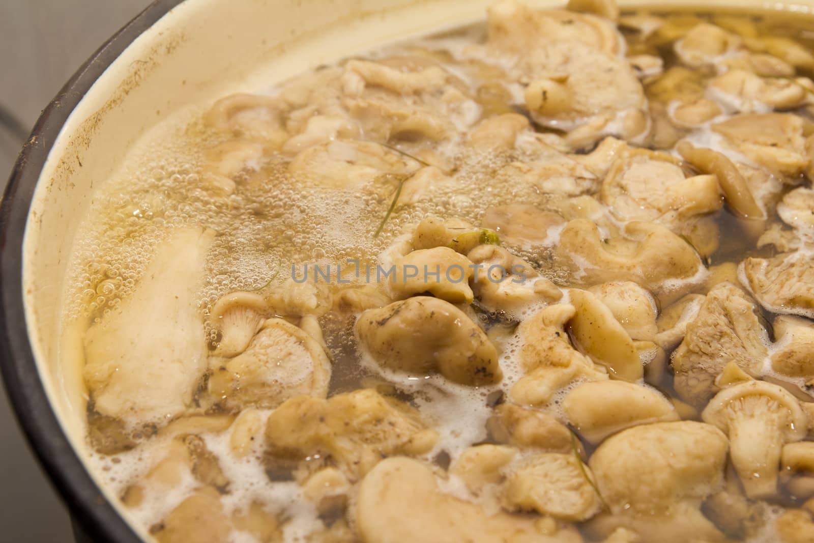 Mushrooms cook in a pan