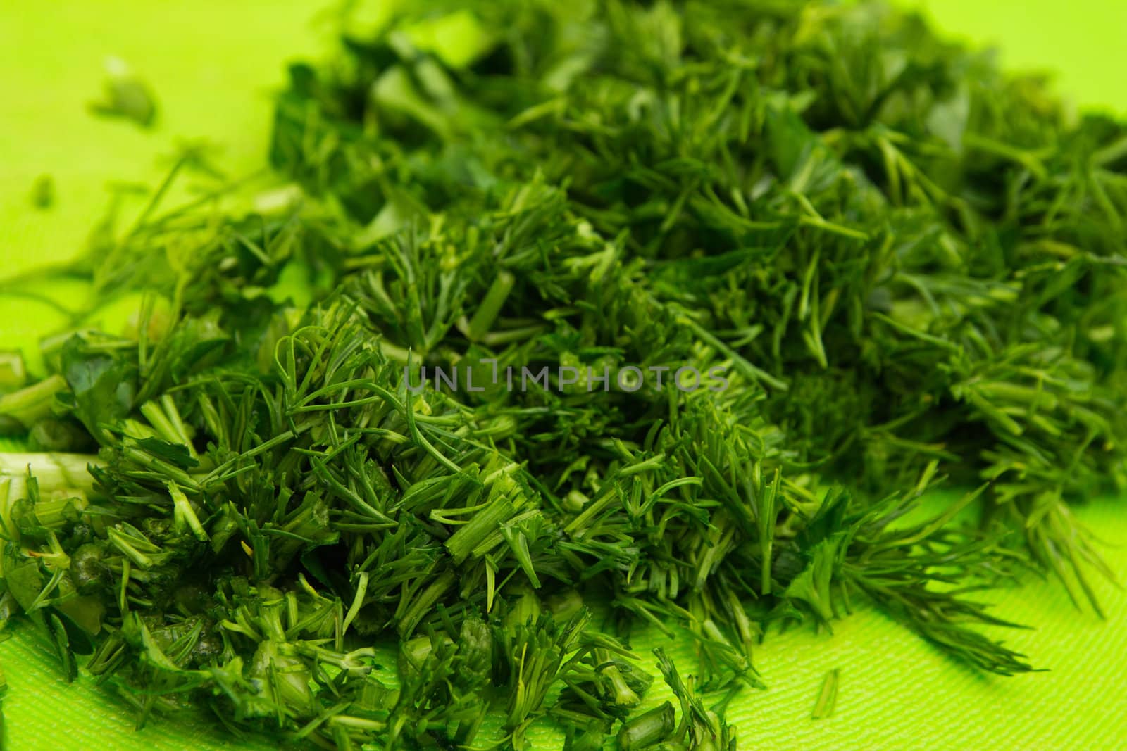 The cut fennel with parsley