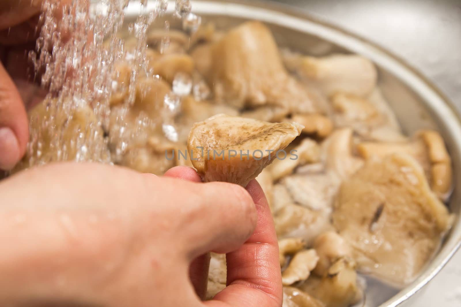 Mushrooms are washed out by water 
