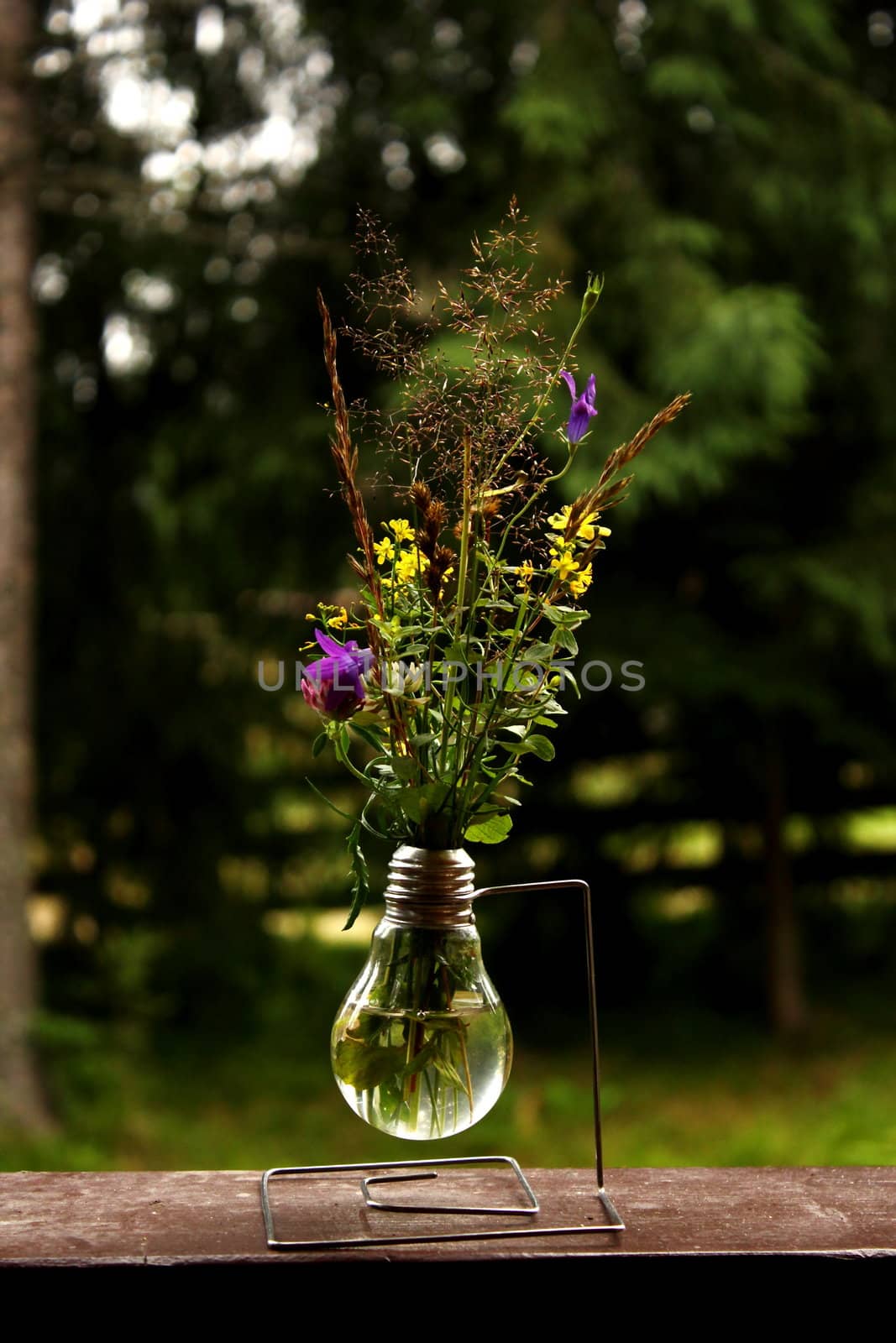 weird vase with mountain flowers by taviphoto