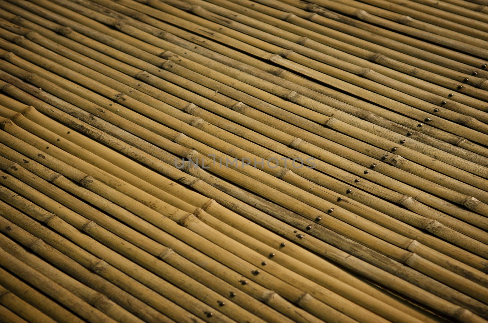 bamboo surface detail by jackmalipan