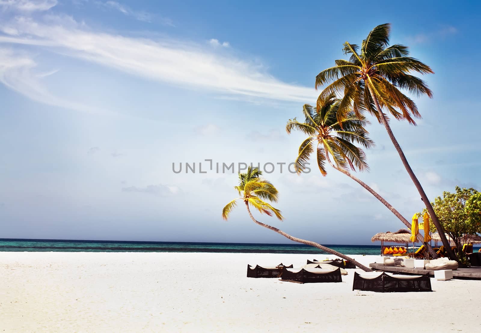 Landscape photo of Coconut trees and couches on white sand beach with blue sky