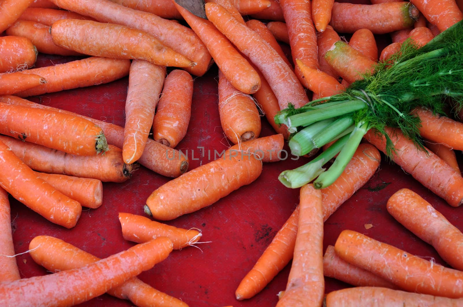 Carrots and dill for sale at grocery store. Vegetables background.