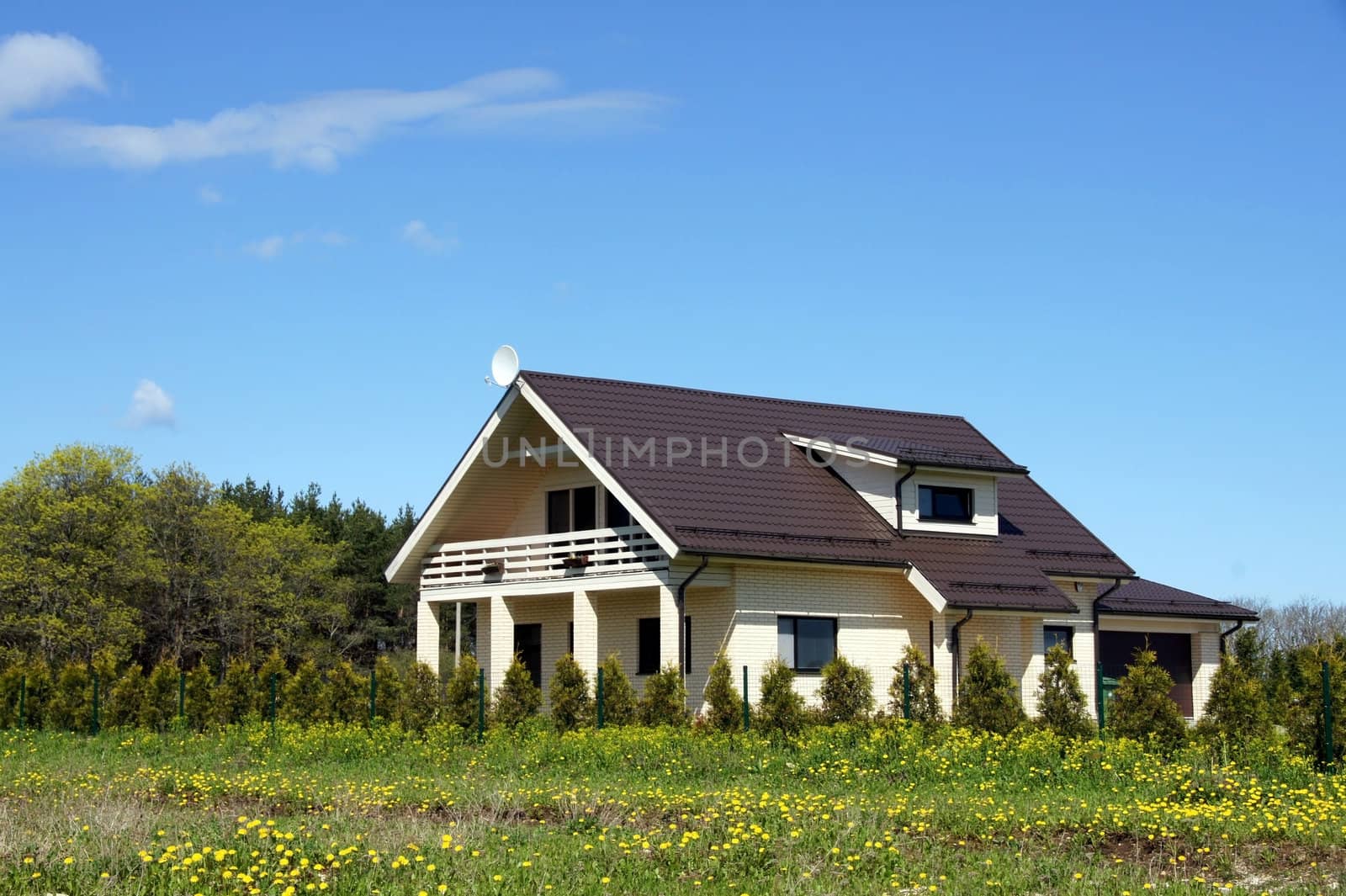 The modern house on a background of plants