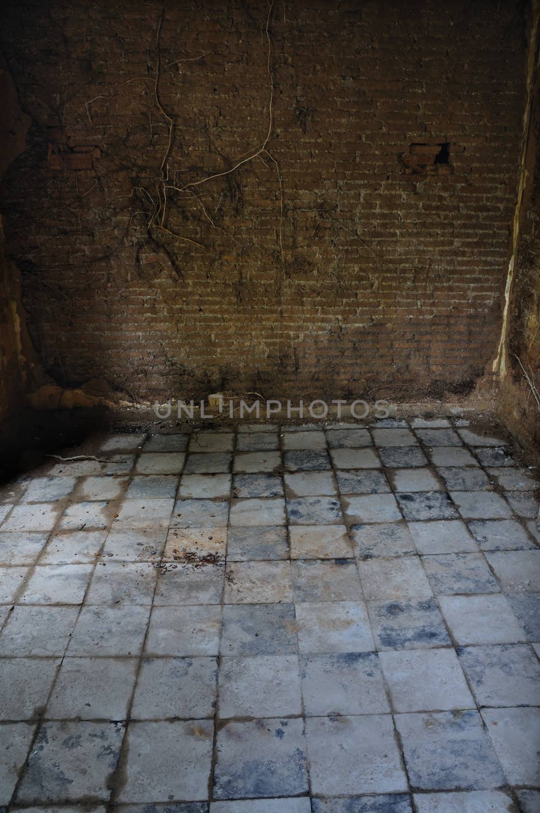 Dirty tiled floor and brick wall with vine roots in empty room. Abandoned interior.