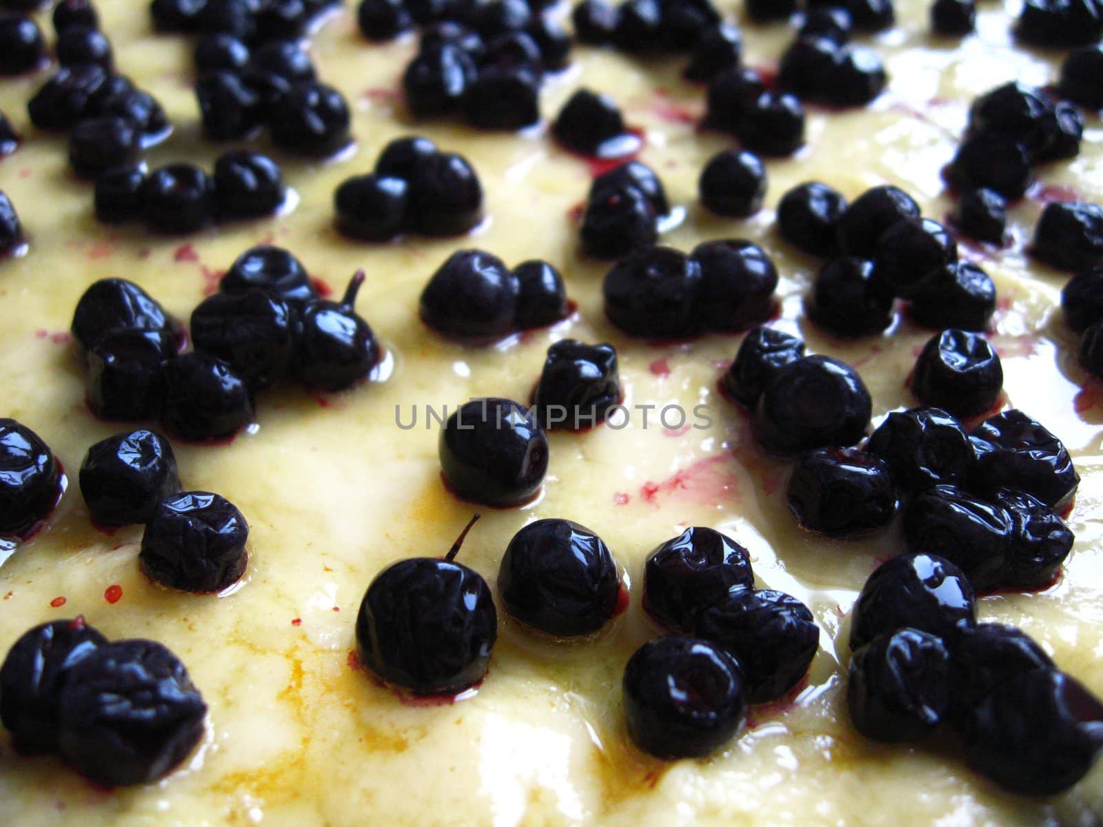 Fresh pie with bilberry by alexmak